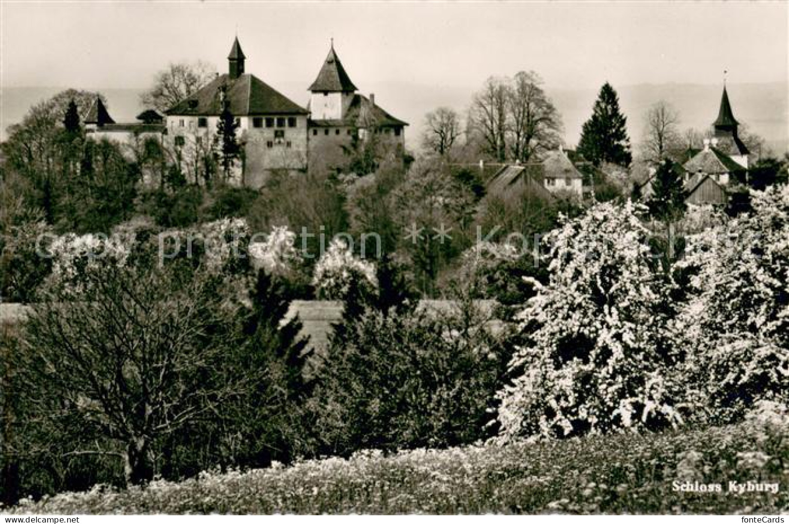 13622961 Kyburg ZH Schloss Kyburg Kyburg ZH - Autres & Non Classés