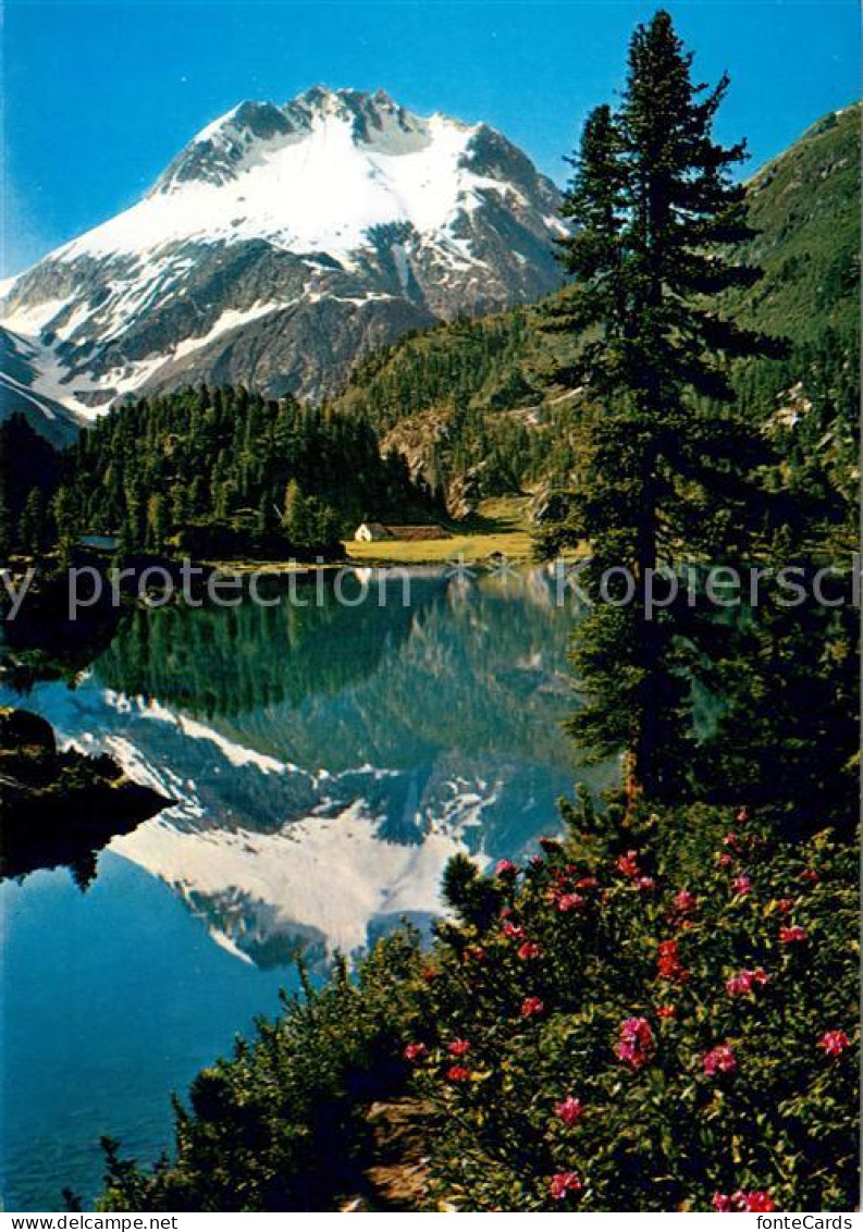 13622832 Maloja GR Lago Di Cavloccio Mit Monte Del Forno Maloja GR - Altri & Non Classificati