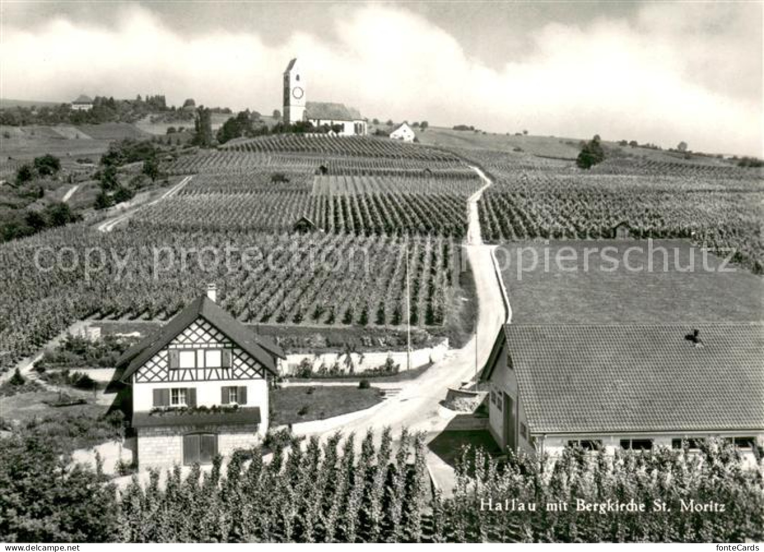 13618921 Hallau Mit Bergkirche St Moritz Hallau - Autres & Non Classés