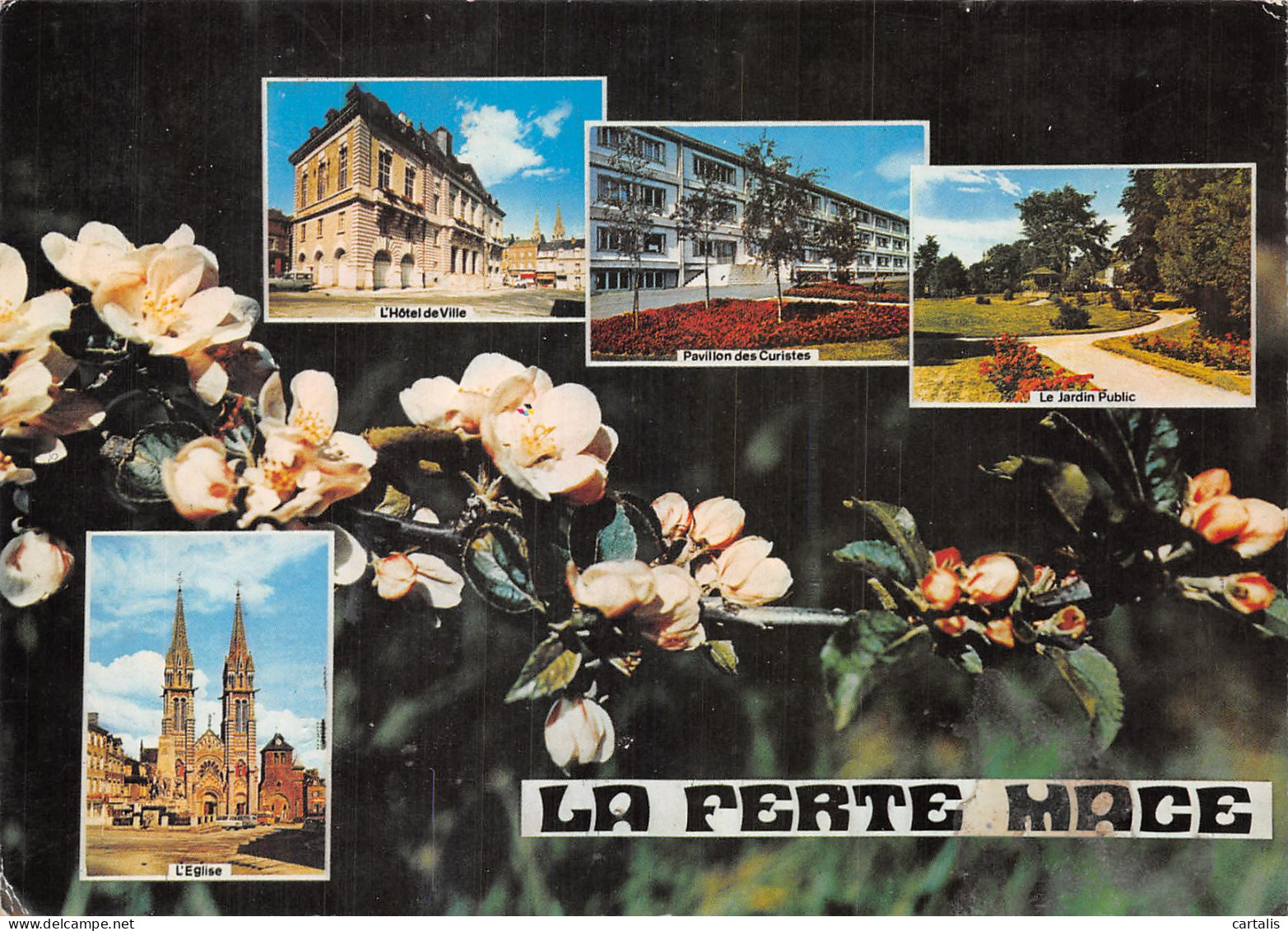 61-LA FERTE MACE-N° 4413-D/0347 - La Ferte Mace