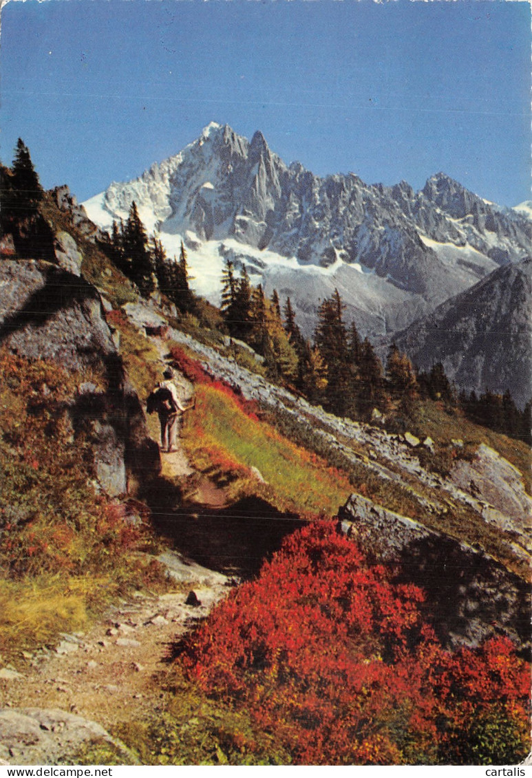 74-CHAMONIX MONT BLANC-N° 4413-C/0391 - Chamonix-Mont-Blanc