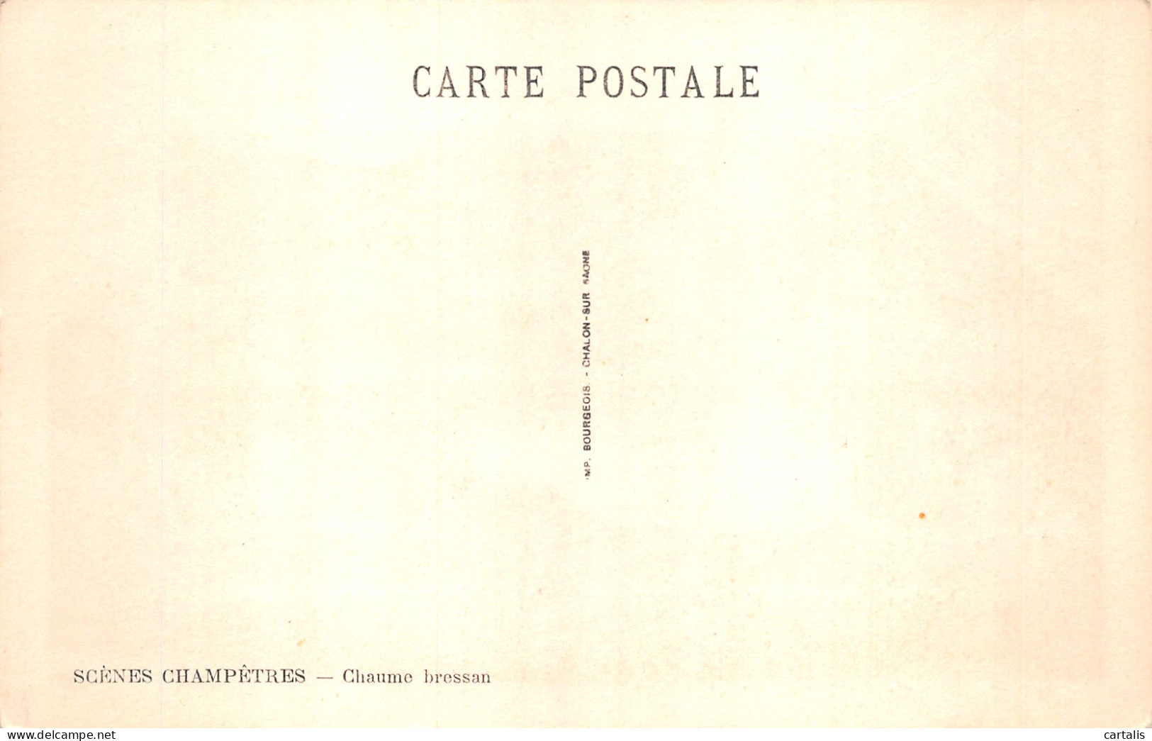 01-SCENES CHAMPETRES-N° 4414-E/0199 - Unclassified