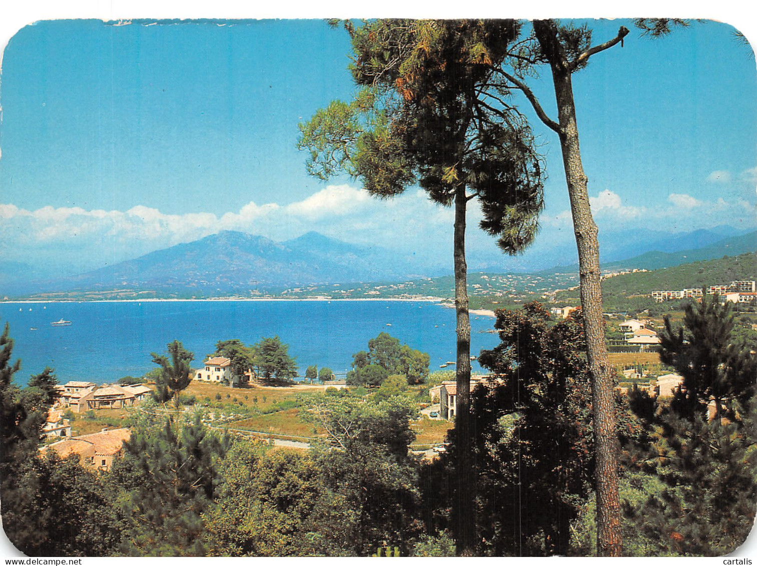 20-CORSE PORTICCIO-N° 4414-D/0311 - Other & Unclassified