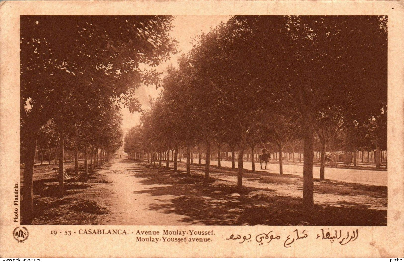 N°1169 W -cpa Casablanca -avenue Moulay Youssef- - Casablanca
