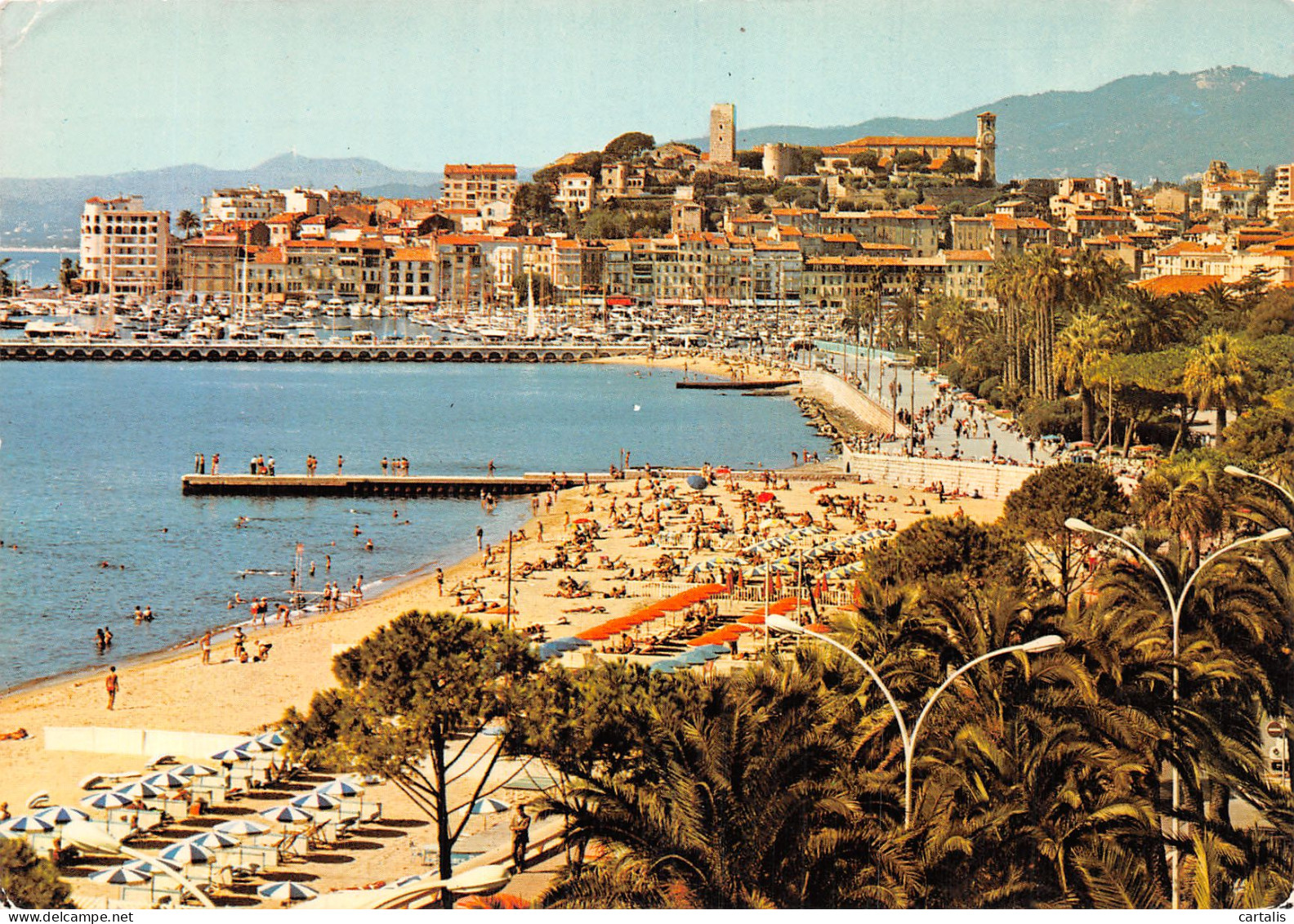 06-CANNES-N° 4416-C/0025 - Cannes