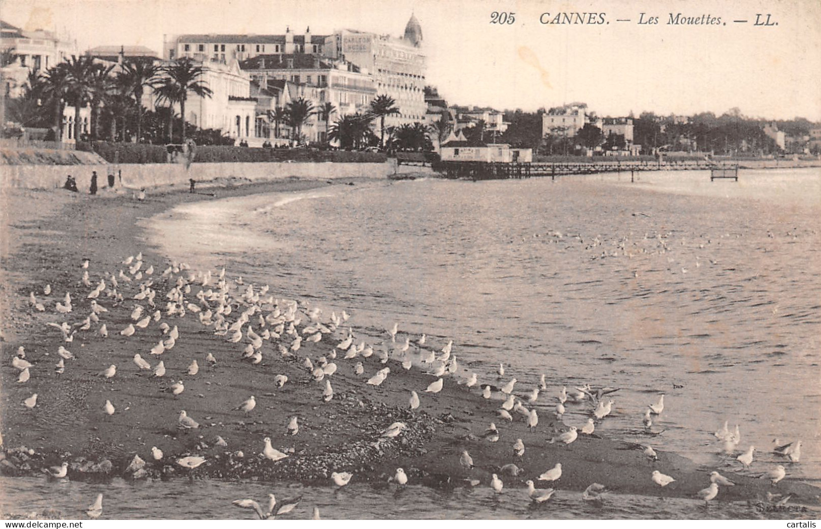 06-CANNES-N° 4416-E/0281 - Cannes