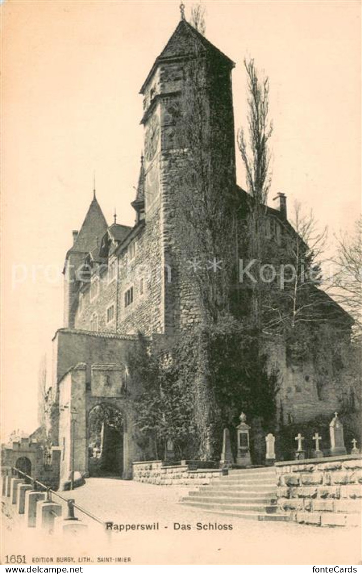 13605082 Rapperswil BE Das Schloss Rapperswil BE - Autres & Non Classés