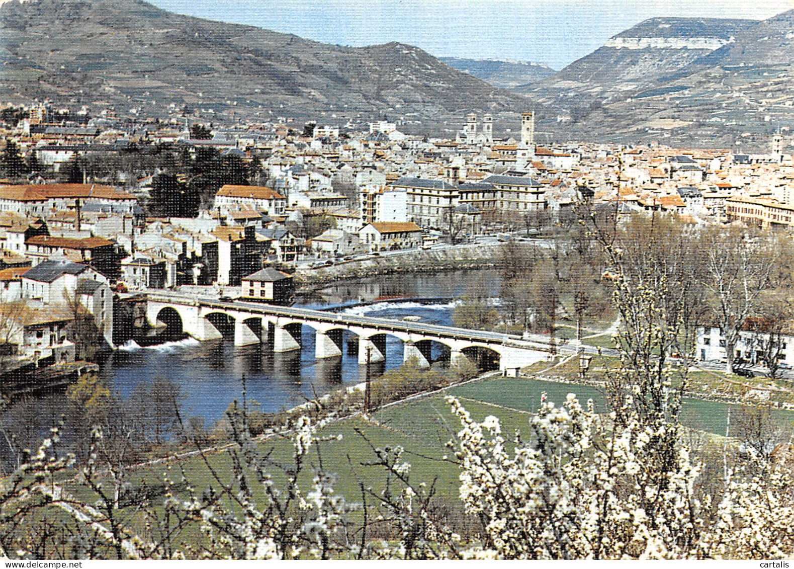 12-MILLAU-N° 4416-C/0271 - Millau