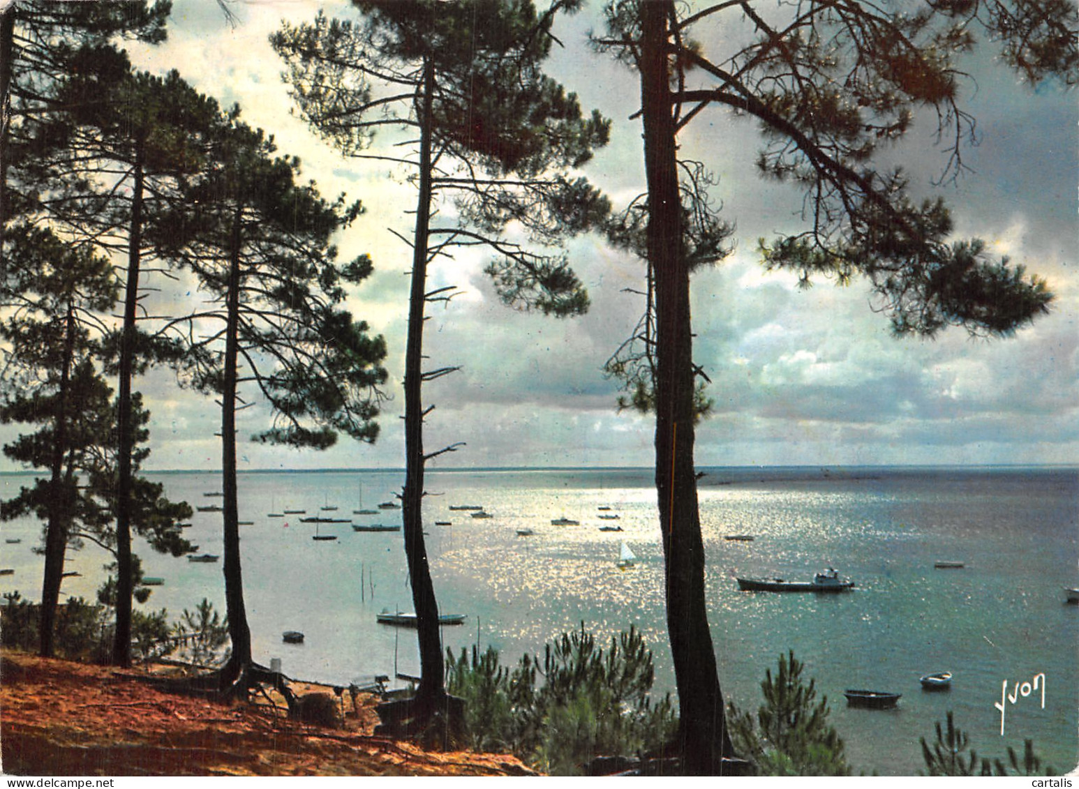 33-ARCACHON-N° 4416-C/0219 - Arcachon