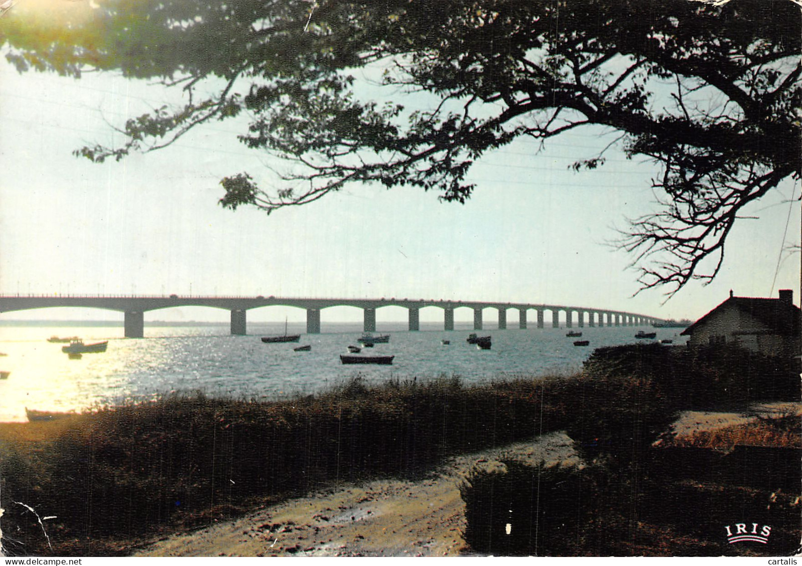 17-ILE D OLERON LE PONT-N° 4417-B/0351 - Ile D'Oléron