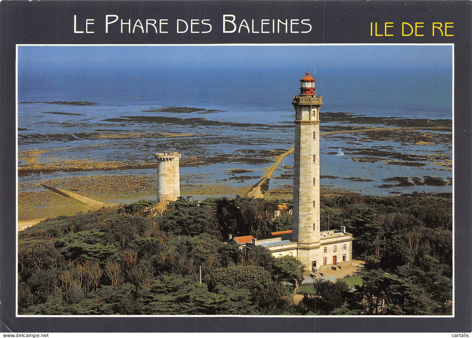 17-ILE DE RE LE PHARE DES BALEINES-N° 4417-B/0335 - Ile De Ré