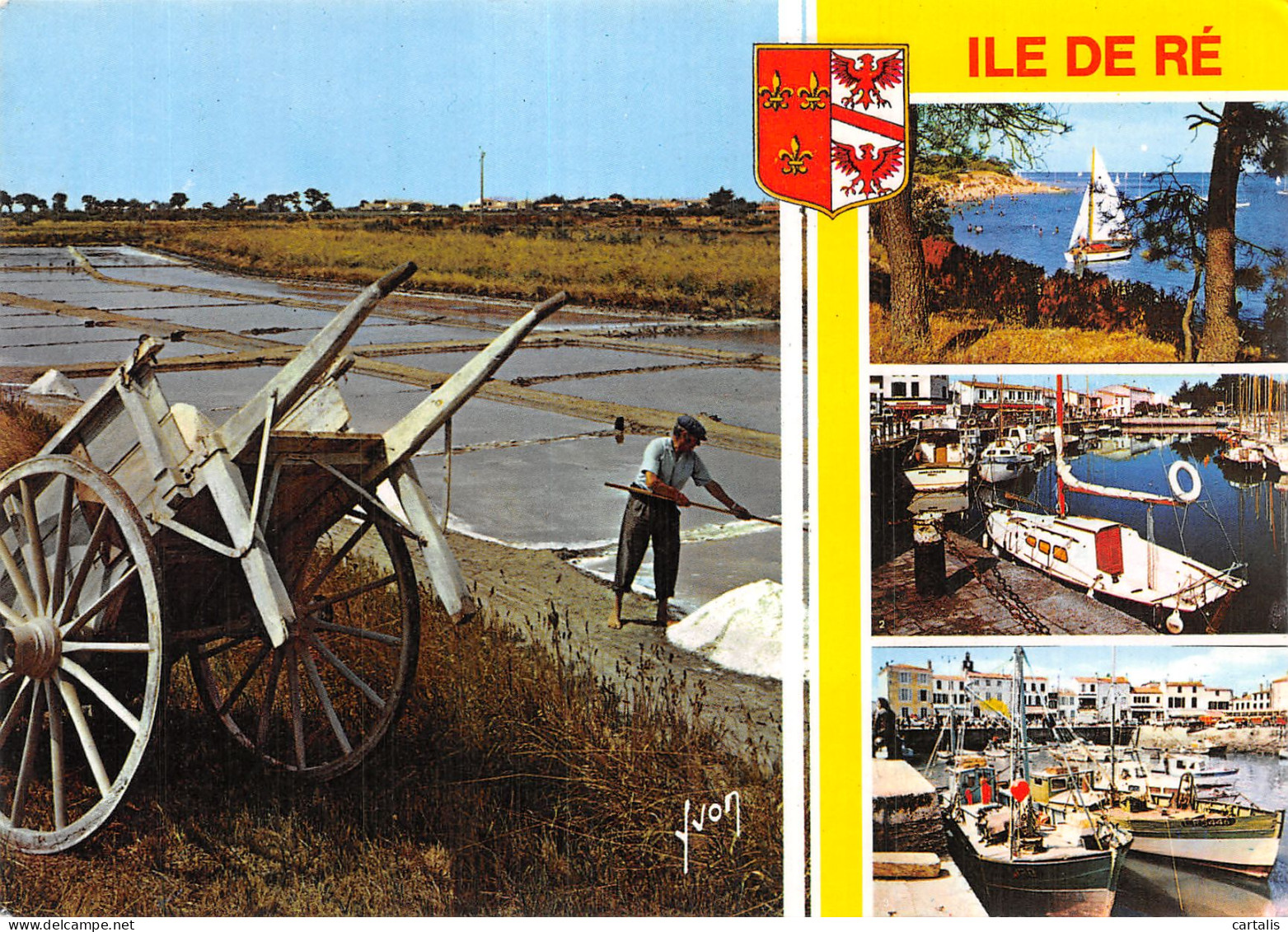 17-ILE DE RE-N° 4417-B/0331 - Ile De Ré