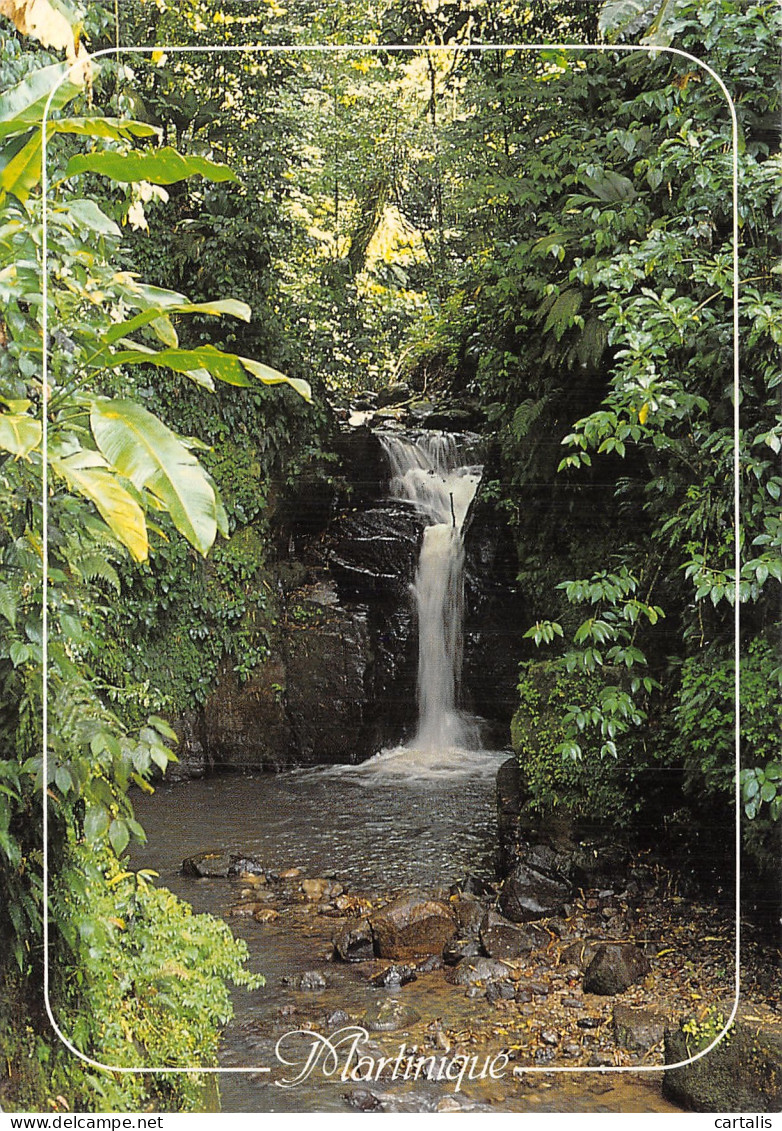 972-MARTINIQUE CASCADE ET FORET TROPICALE-N° 4418-A/0151 - Sonstige & Ohne Zuordnung