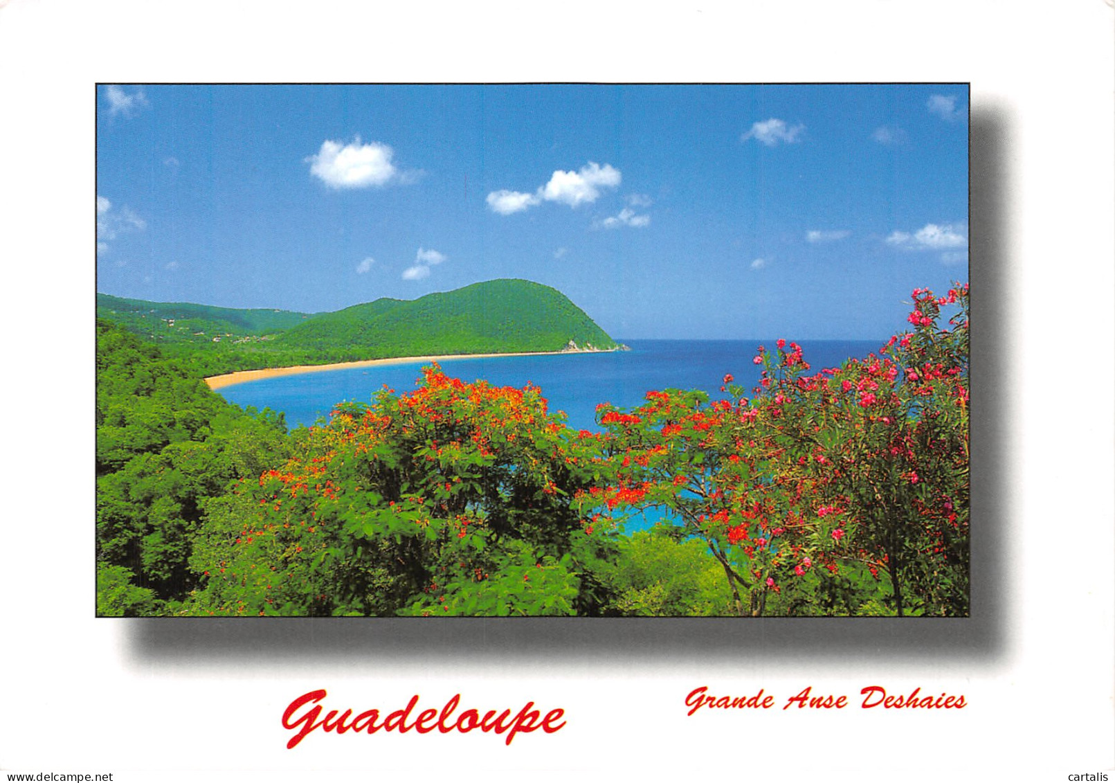 971-GUADELOUPE GRANDE ANSE DESHAIES-N° 4418-A/0161 - Autres & Non Classés