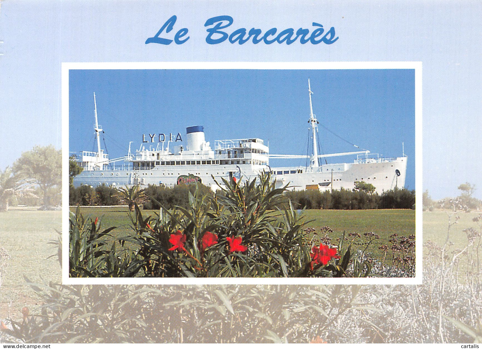 66-LE BARCARES LE LYDIA-N° 4418-A/0091 - Other & Unclassified