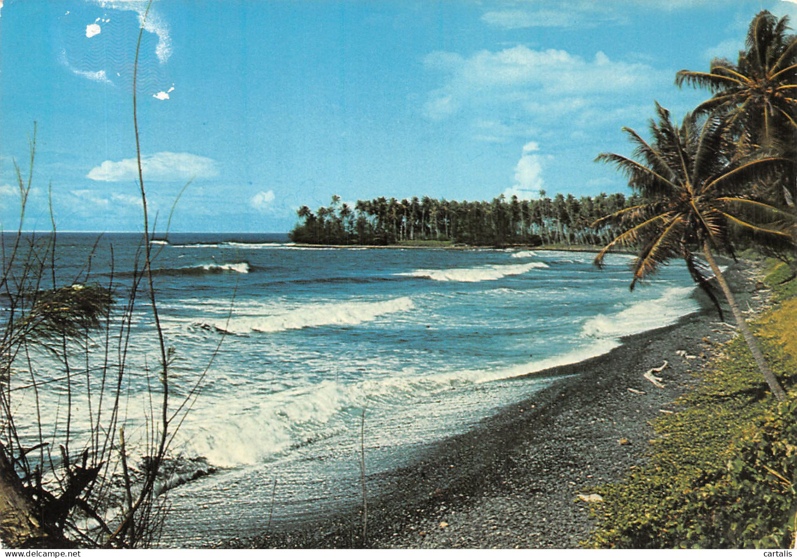 987-TAHITI PAPENOO-N° 4418-A/0029 - Polynésie Française