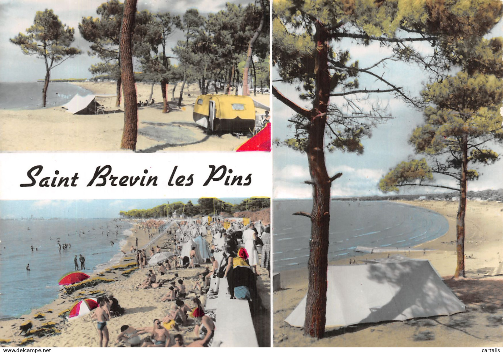 44-SAINT BREVIN LES PINS-N° 4417-D/0369 - Saint-Brevin-les-Pins