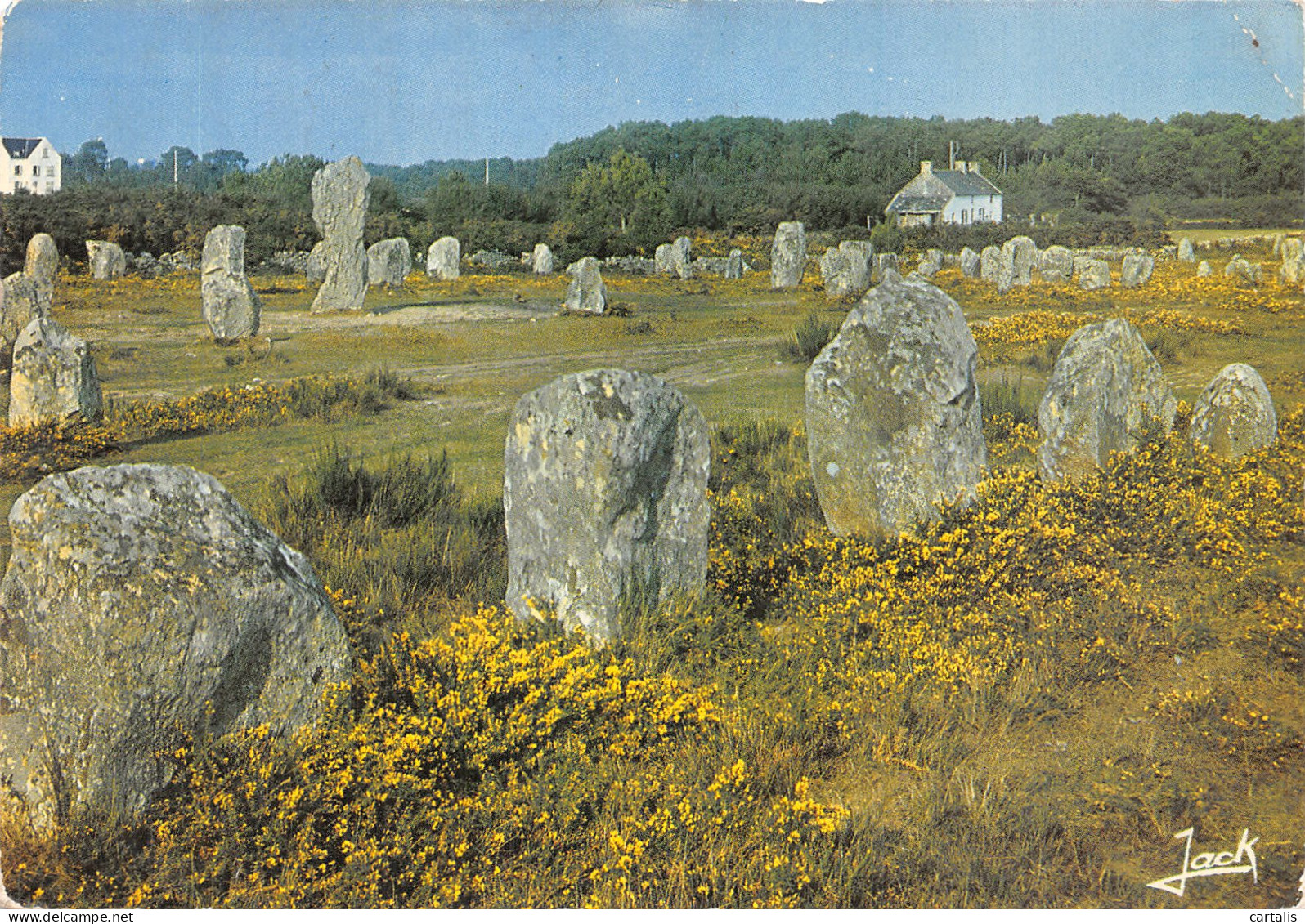 56-CARNAC-N° 4417-D/0203 - Carnac