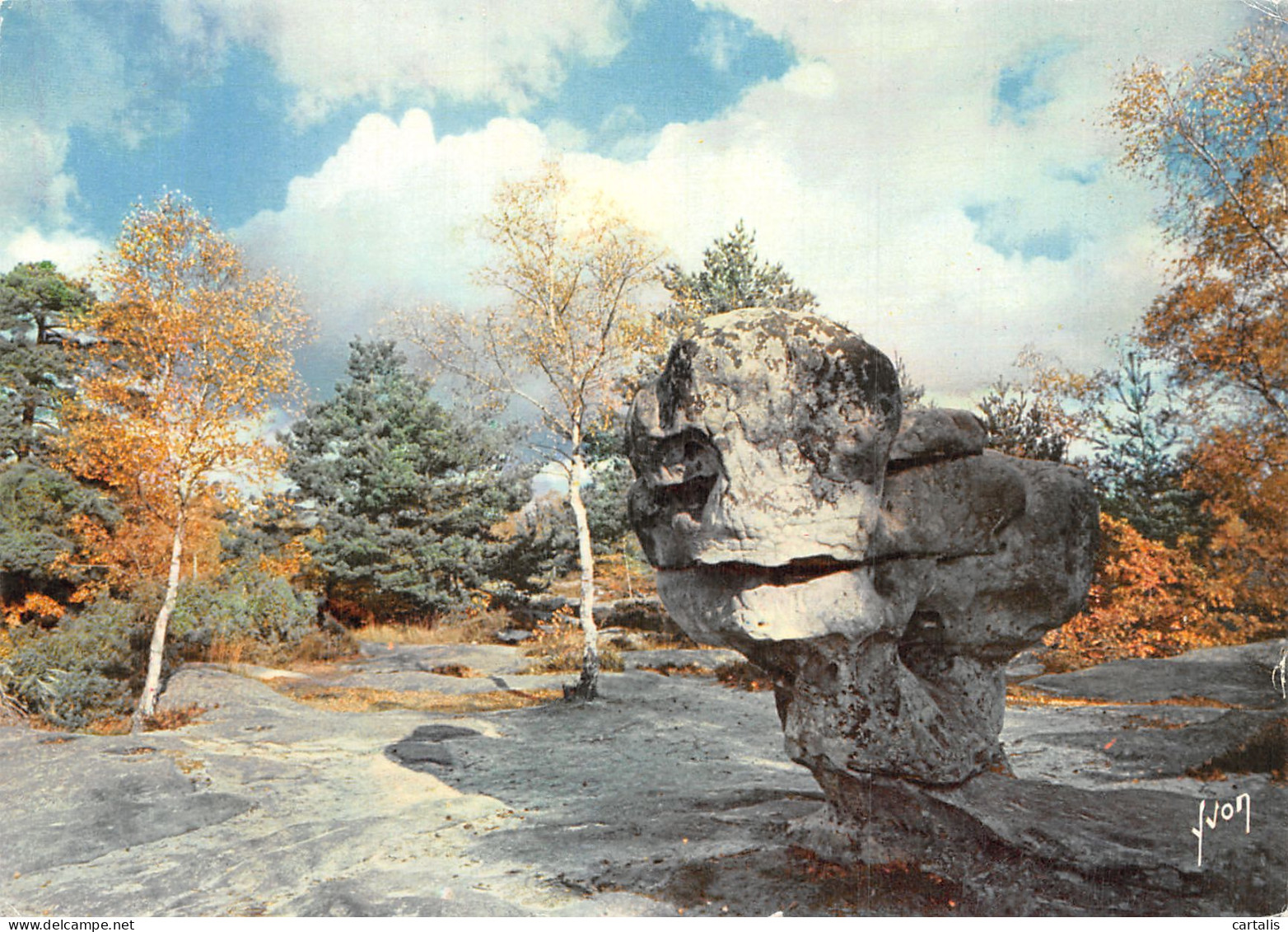 77-FONTAINEBLEAU LA FORET -N° 4417-D/0123 - Fontainebleau