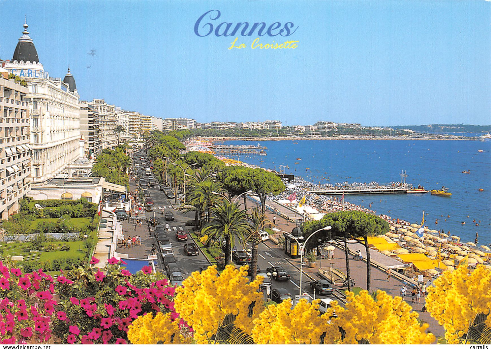 06-CANNES-N° 4418-C/0209 - Cannes