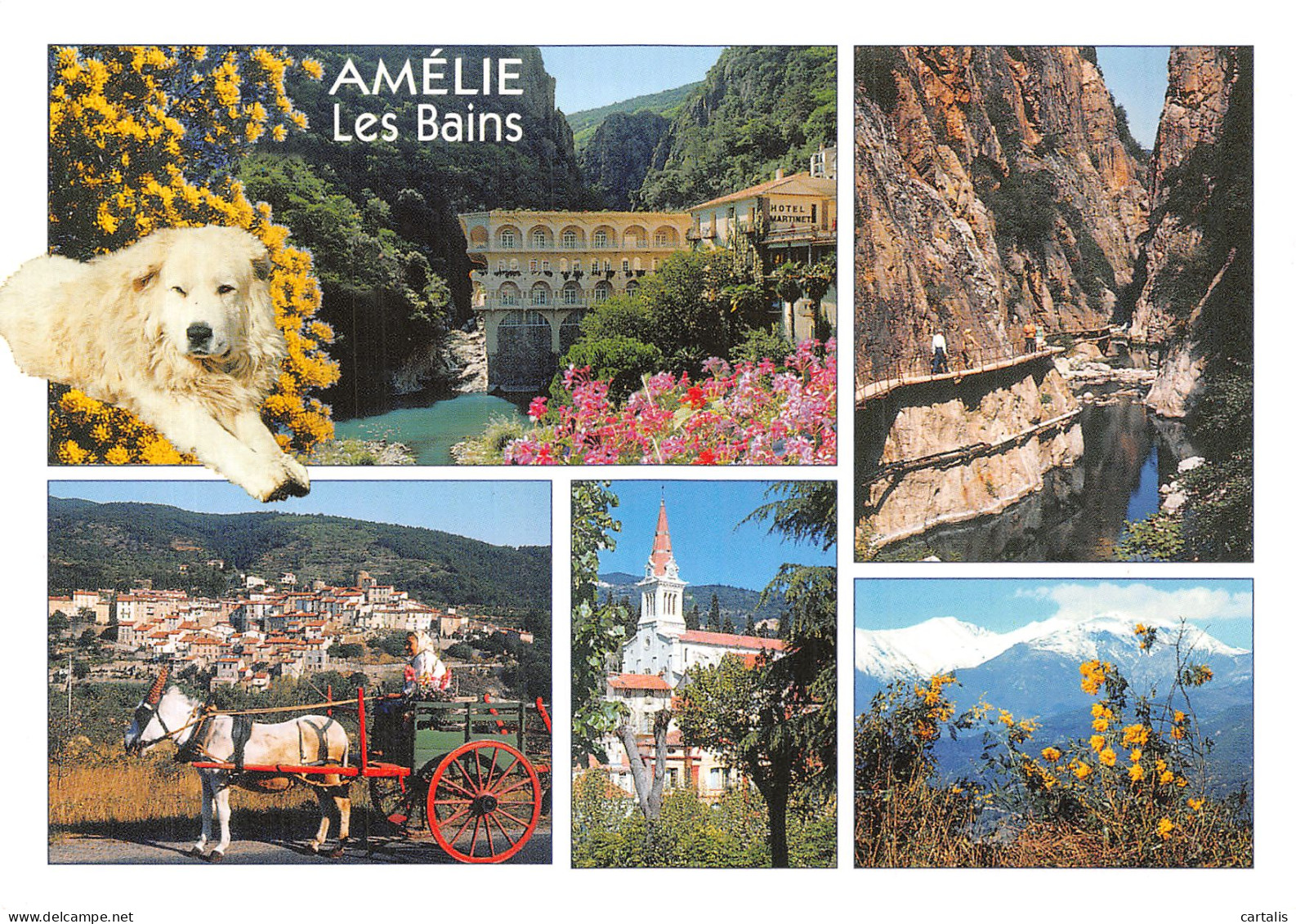 66-AMELIE LES BAINS-N° 4418-C/0135 - Other & Unclassified