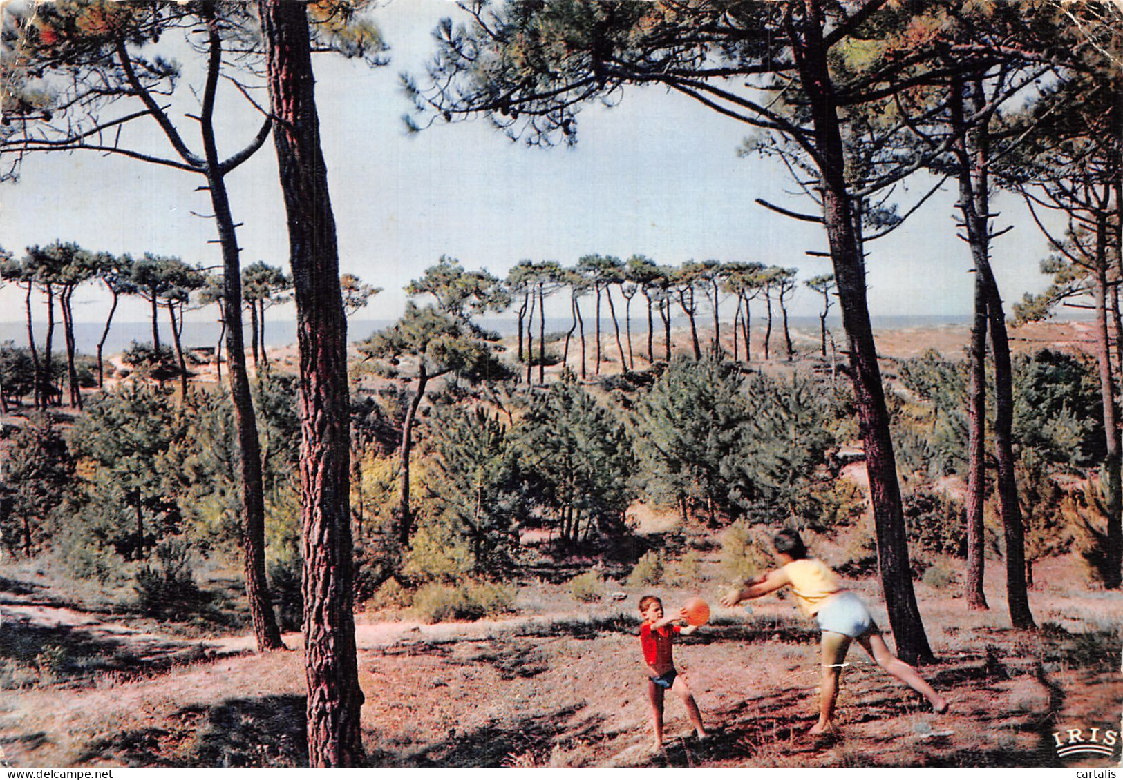 85-VENDEE LA FORET-N° 4418-C/0069 - Autres & Non Classés