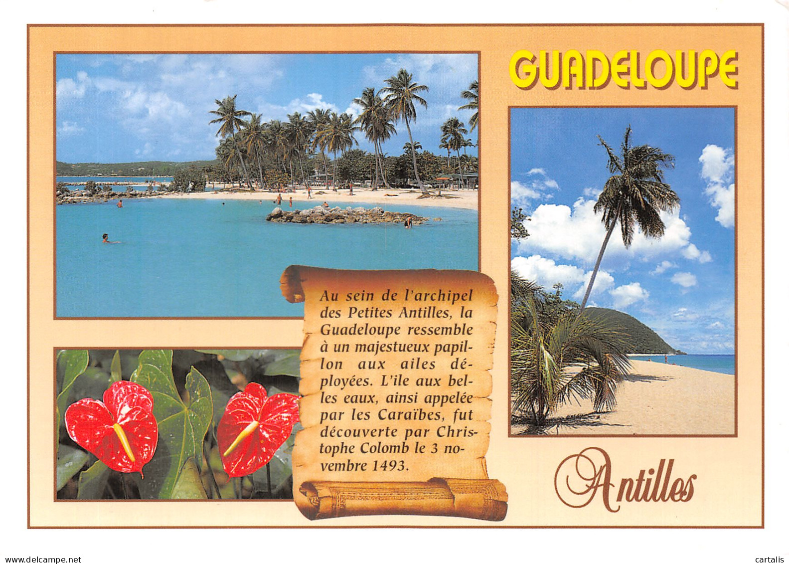 971-GUADELOUPE SAINTE ANNE DESHAIES-N° 4418-A/0163 - Andere & Zonder Classificatie