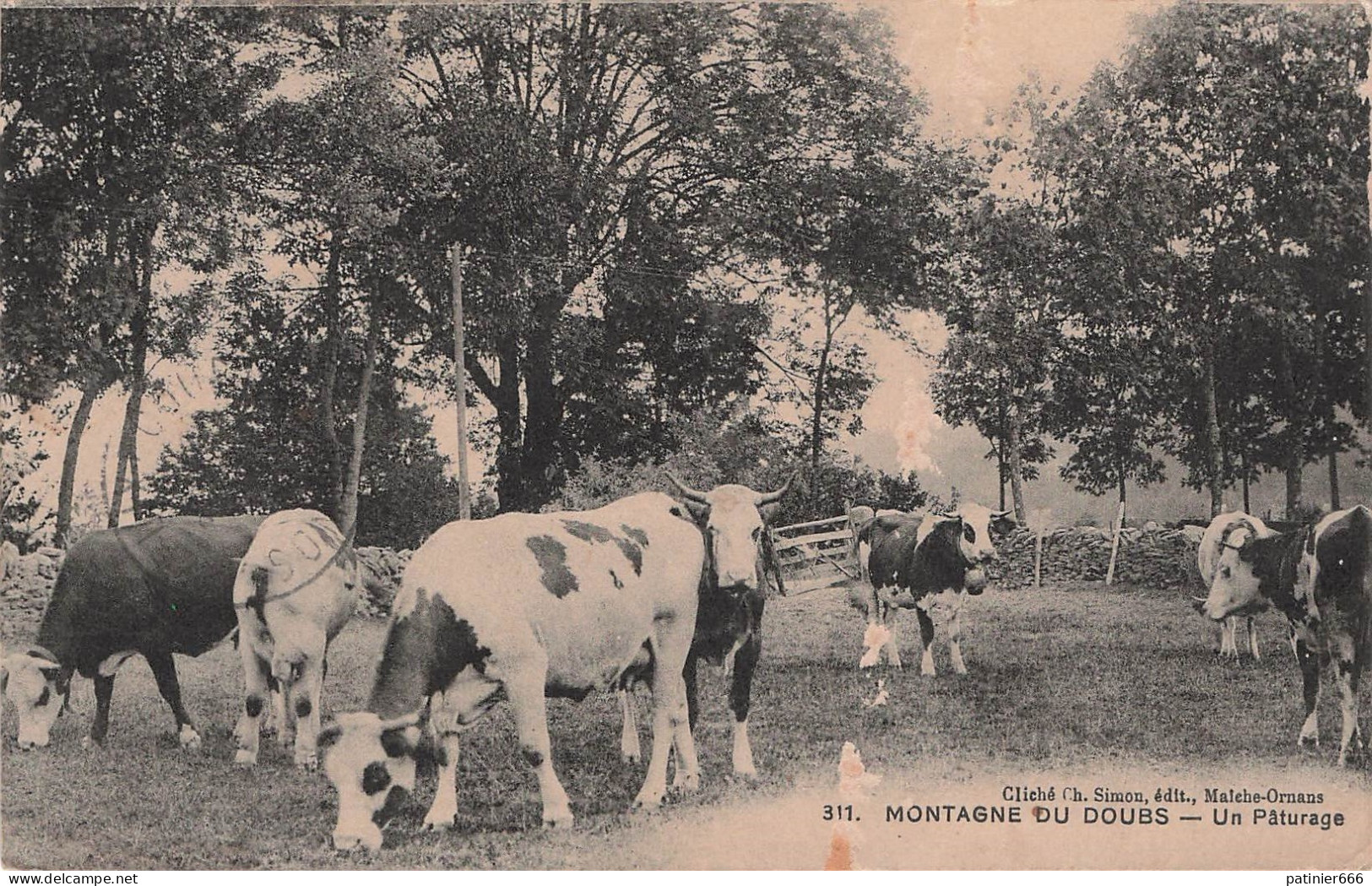 Montagne Du Doubs Un Paturage - Andere & Zonder Classificatie