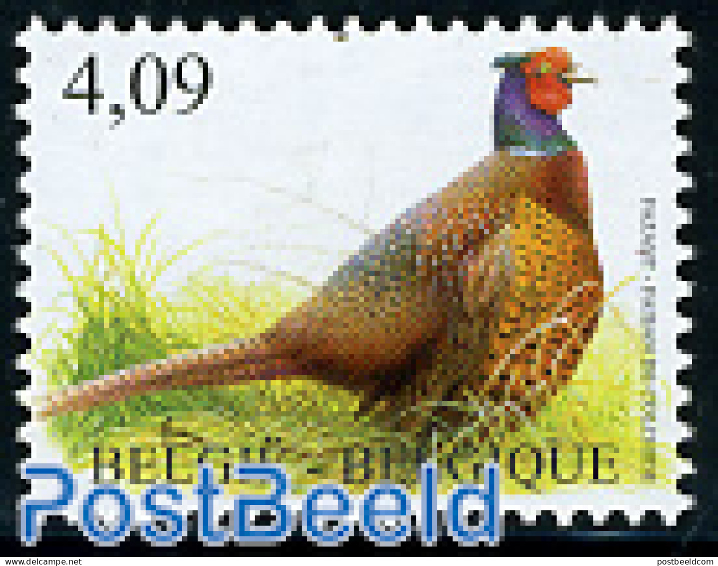 Belgium 2010 Birds, Pheasant 1v, Mint NH, Nature - Birds - Poultry - Unused Stamps