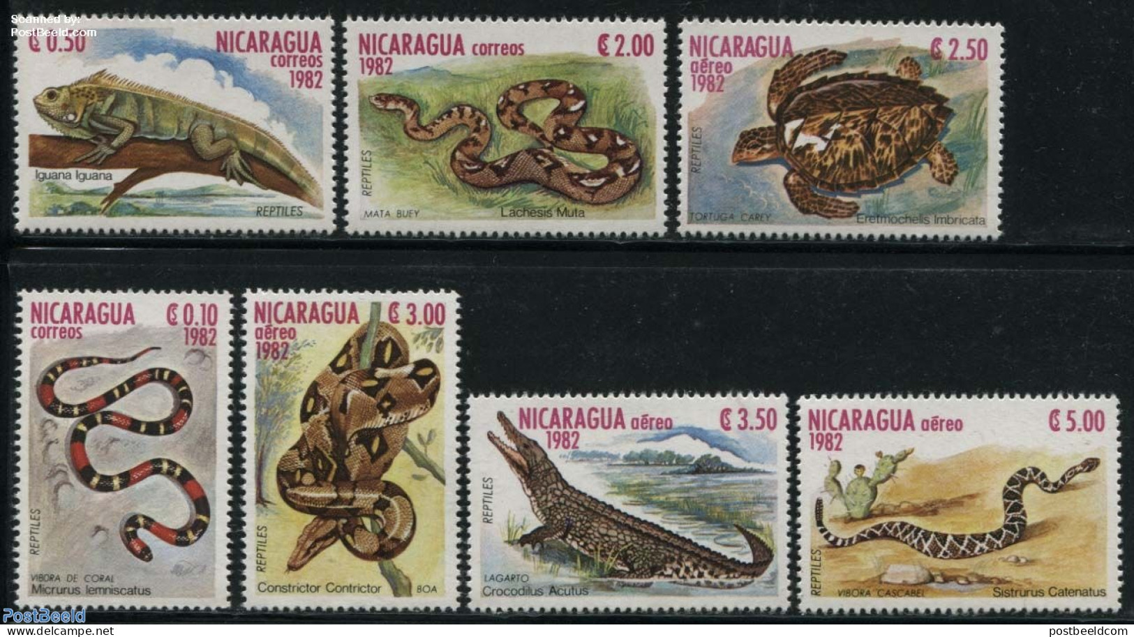 Nicaragua 1982 Reptiles 7v, Mint NH, Nature - Crocodiles - Reptiles - Snakes - Turtles - Nicaragua