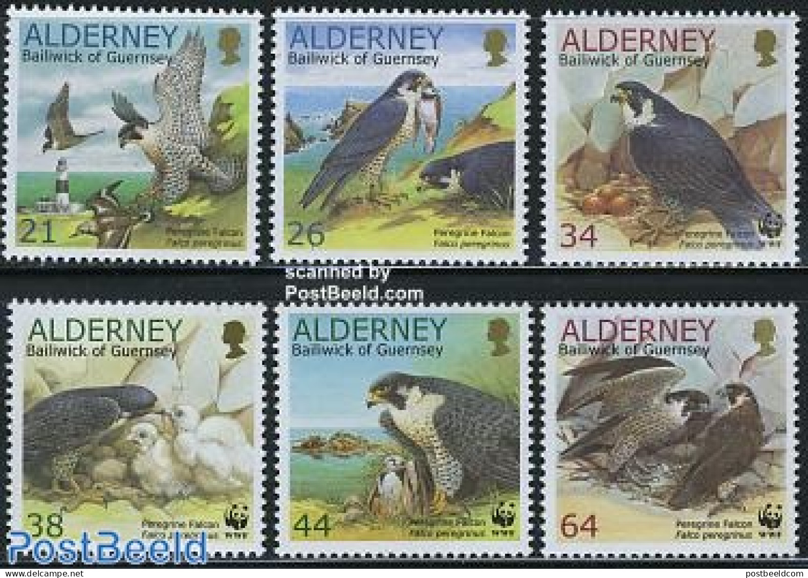 Alderney 2000 WWF, Falcons 6v, Mint NH, Nature - Various - Birds - Birds Of Prey - World Wildlife Fund (WWF) - Lightho.. - Vuurtorens