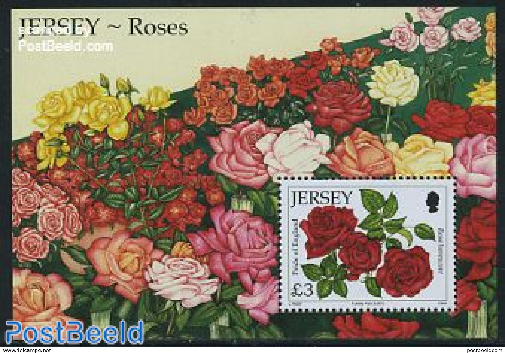 Jersey 2010 Roses S/s, Mint NH, Nature - Flowers & Plants - Roses - Jersey