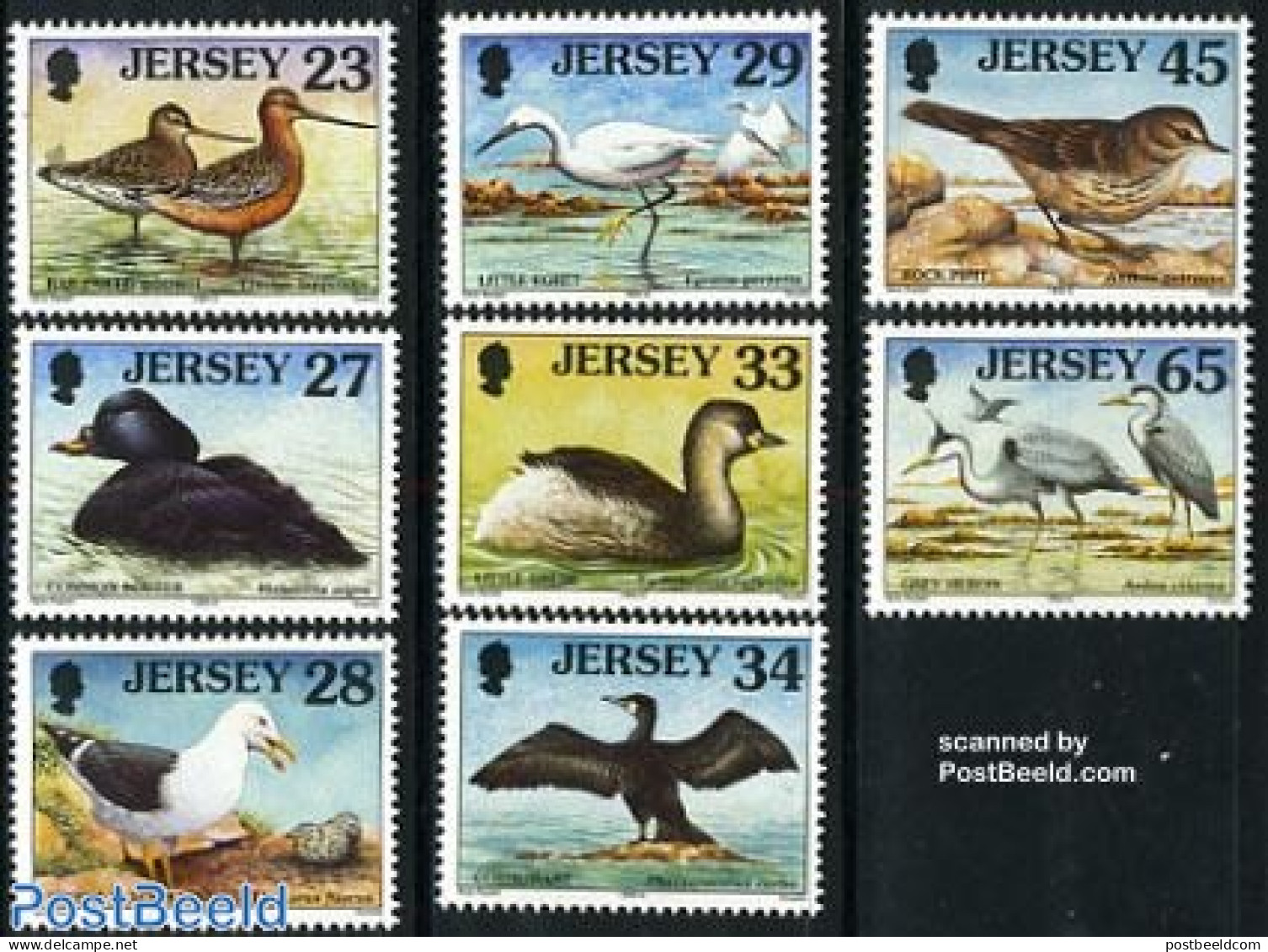 Jersey 1999 Sea Birds 8v, Mint NH, Nature - Birds - Storks - Jersey