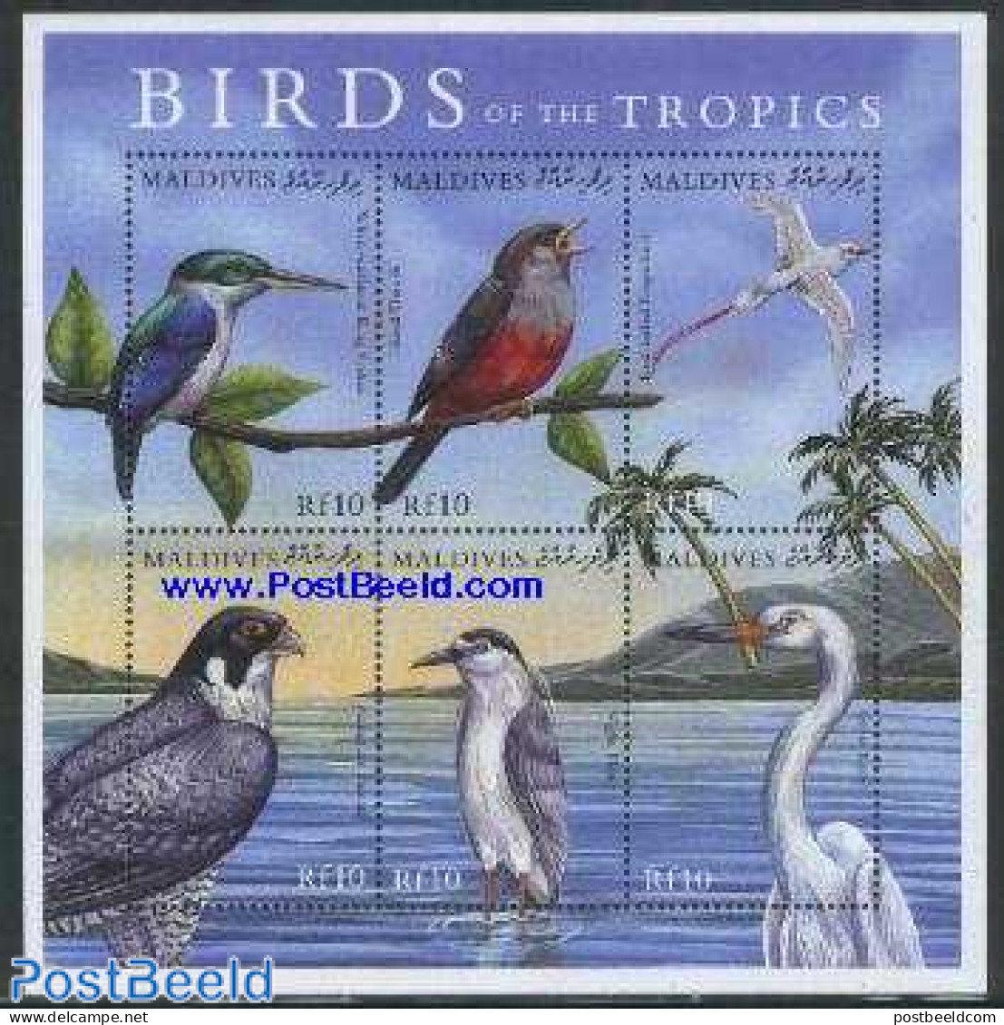 Maldives 2000 Birds 6v M/s, White Colla-, Mint NH, Nature - Birds - Maldivas (1965-...)