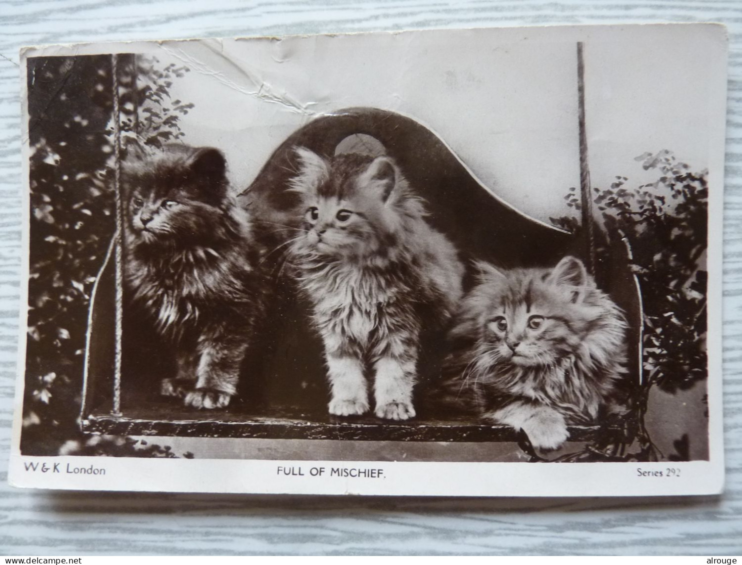 CP Les Chats, Full Of Mischief, 1922 - Cats