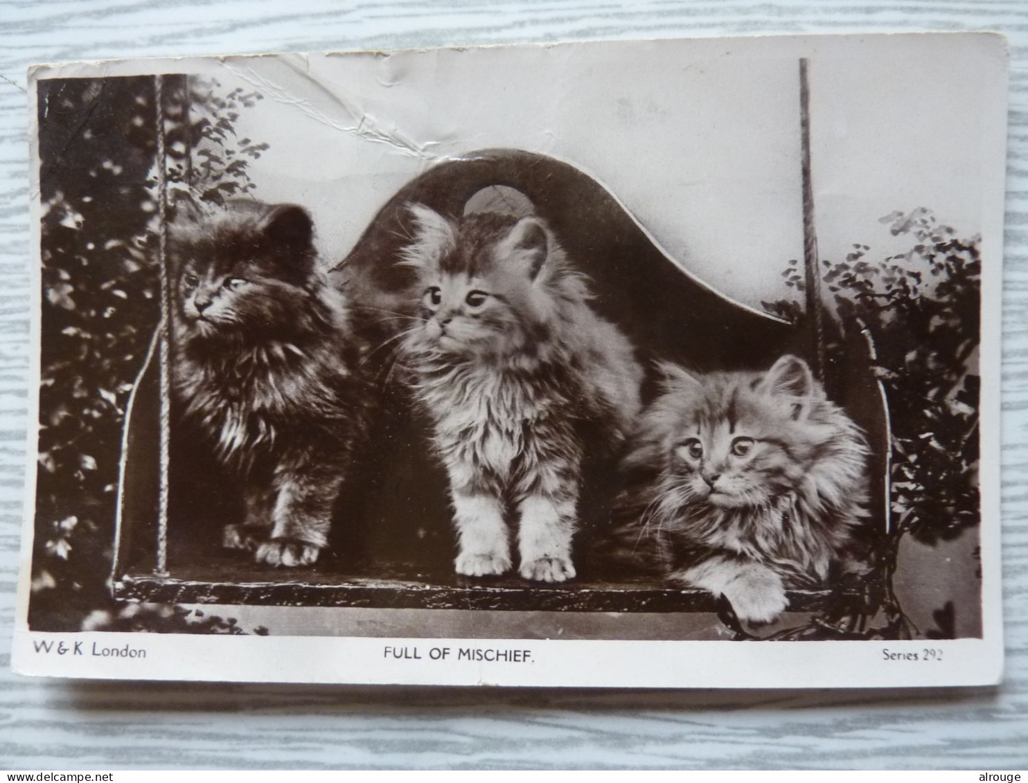 CP Les Chats, Full Of Mischief, 1922 - Gatti