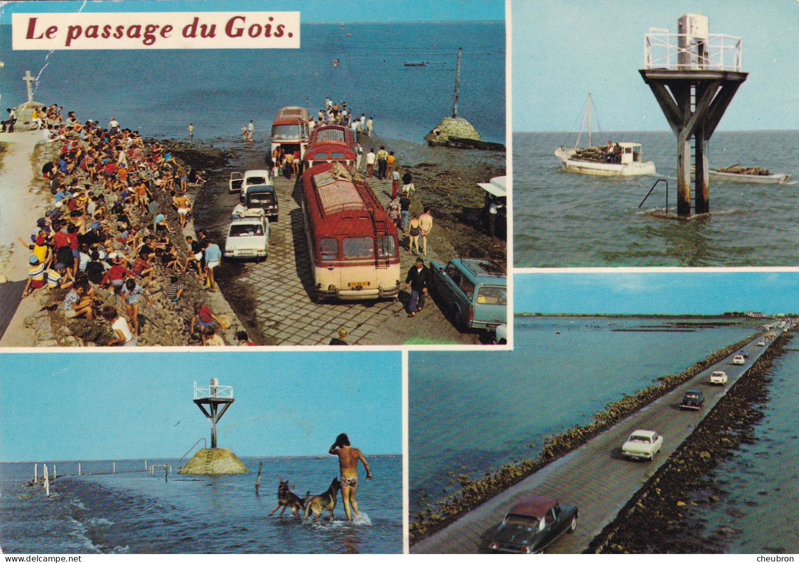 85. ÎLE DE NOIRMOUTIER. CPA. MULTIVUES. LE PASSAGE DU GOIS .VOITURES. AUTOCAR BALISES. CHIENS+. TEXTE - Ile De Noirmoutier