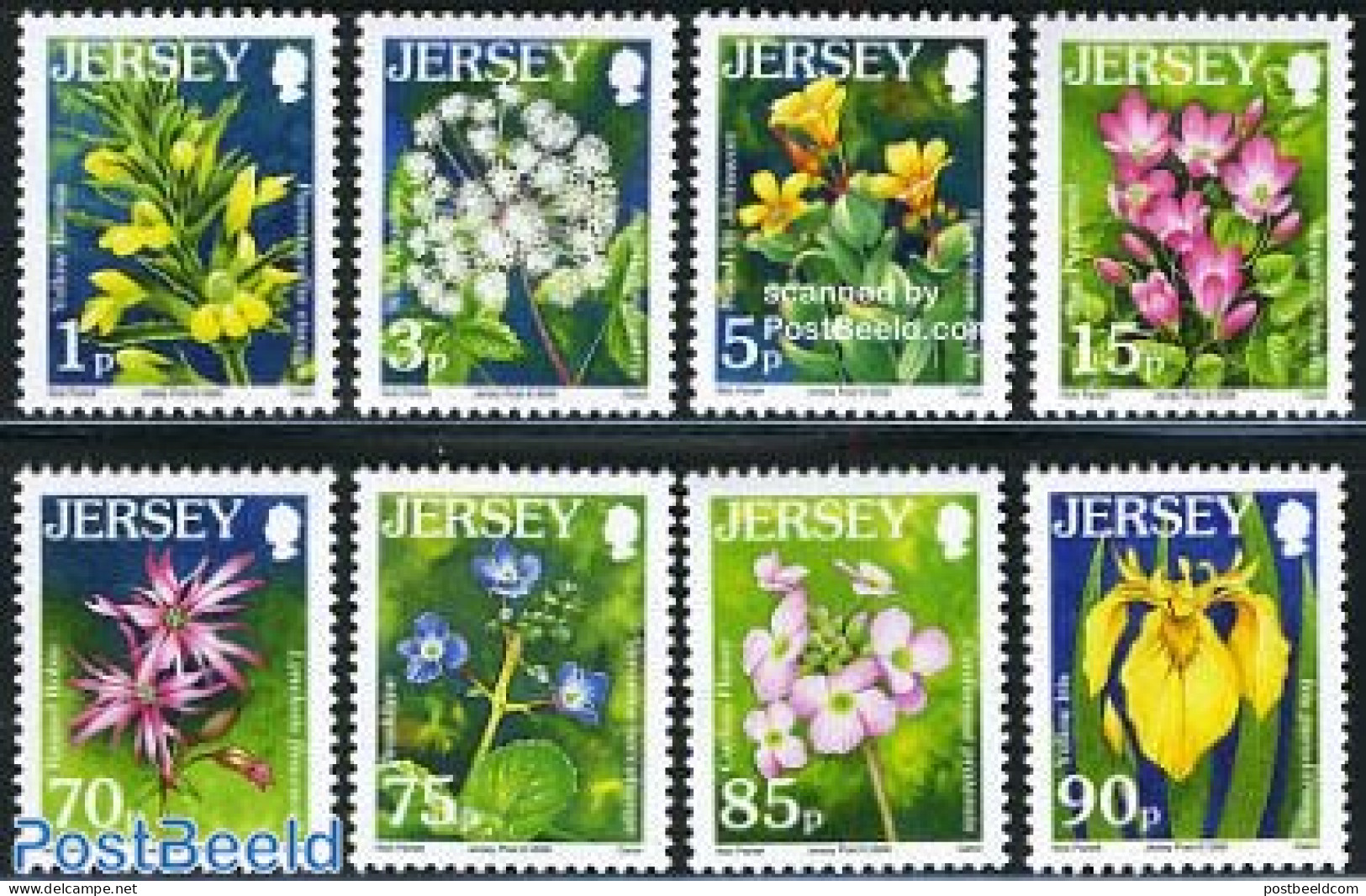 Jersey 2006 Definitives, Wild Flowers 8v, Mint NH, Nature - Flowers & Plants - Jersey