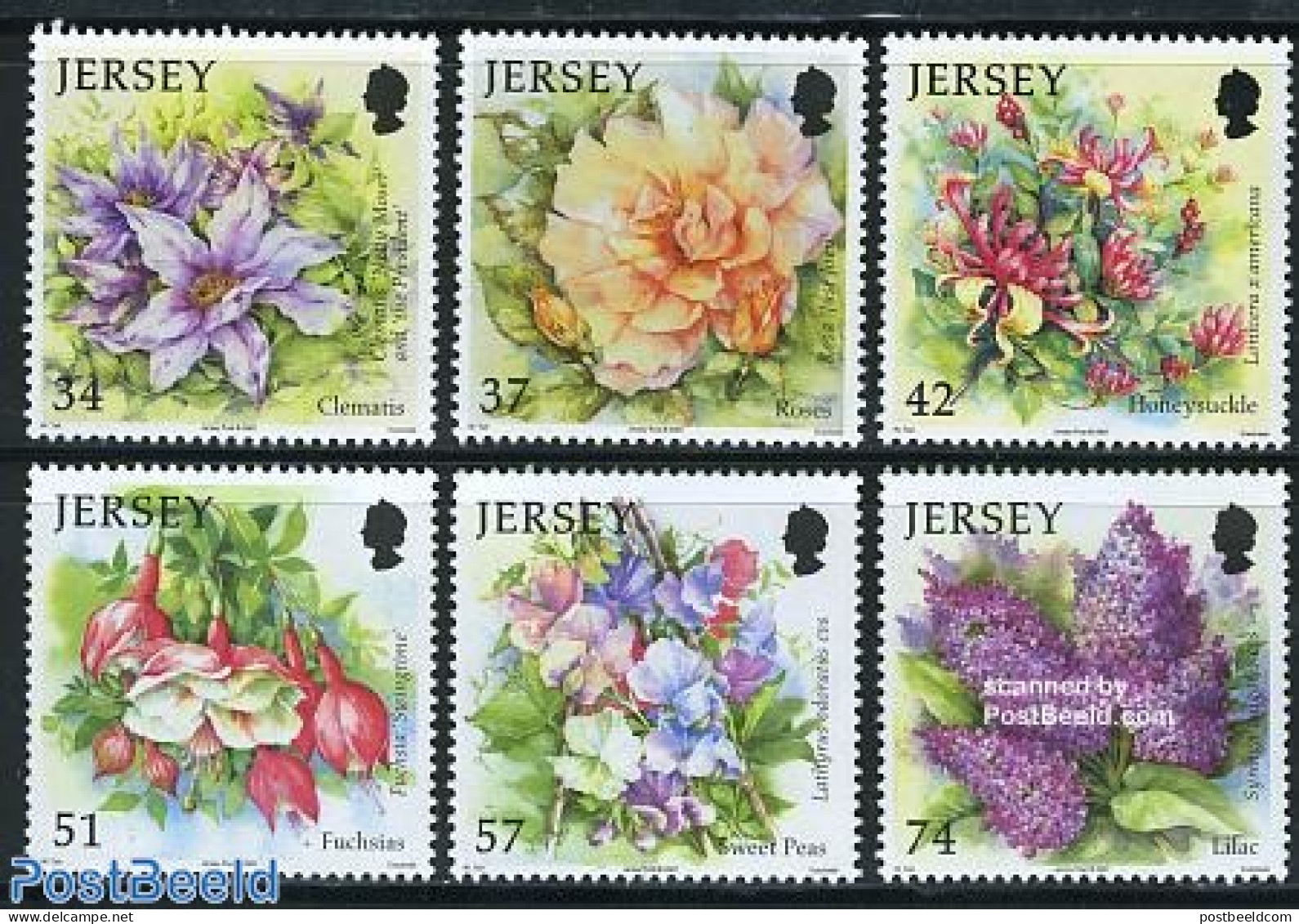 Jersey 2007 Summer Flowers 6v, Mint NH, Nature - Flowers & Plants - Jersey