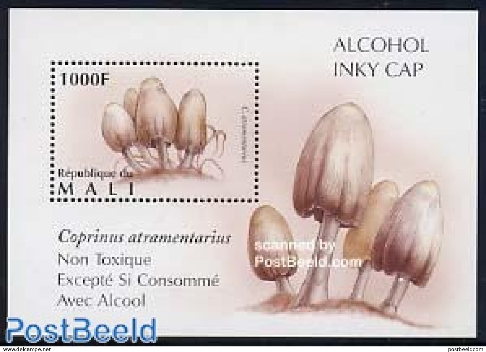 Mali 1996 Mushrooms S/s, Coprinus Atramentarius, Mint NH, Nature - Mushrooms - Mushrooms