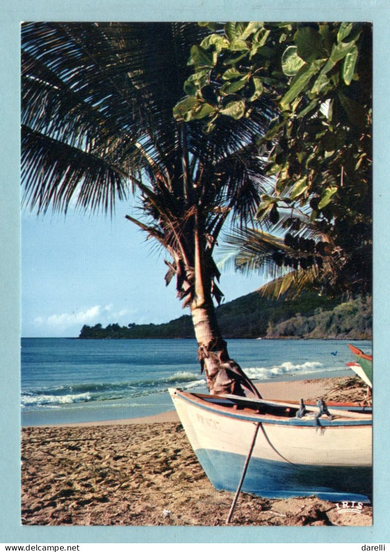 CP Guadeloupe - Plage De Pêcheurs Après Deshaies - Other & Unclassified