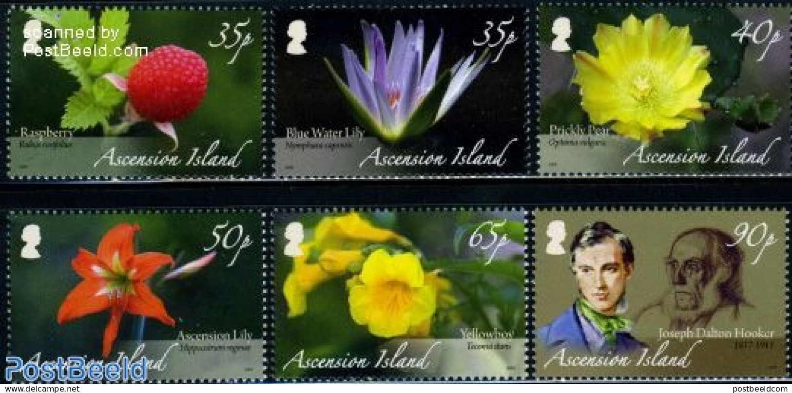 Ascension 2009 Botanist, Joseph Hooker 6v, Mint NH, Nature - Flowers & Plants - Ascensione