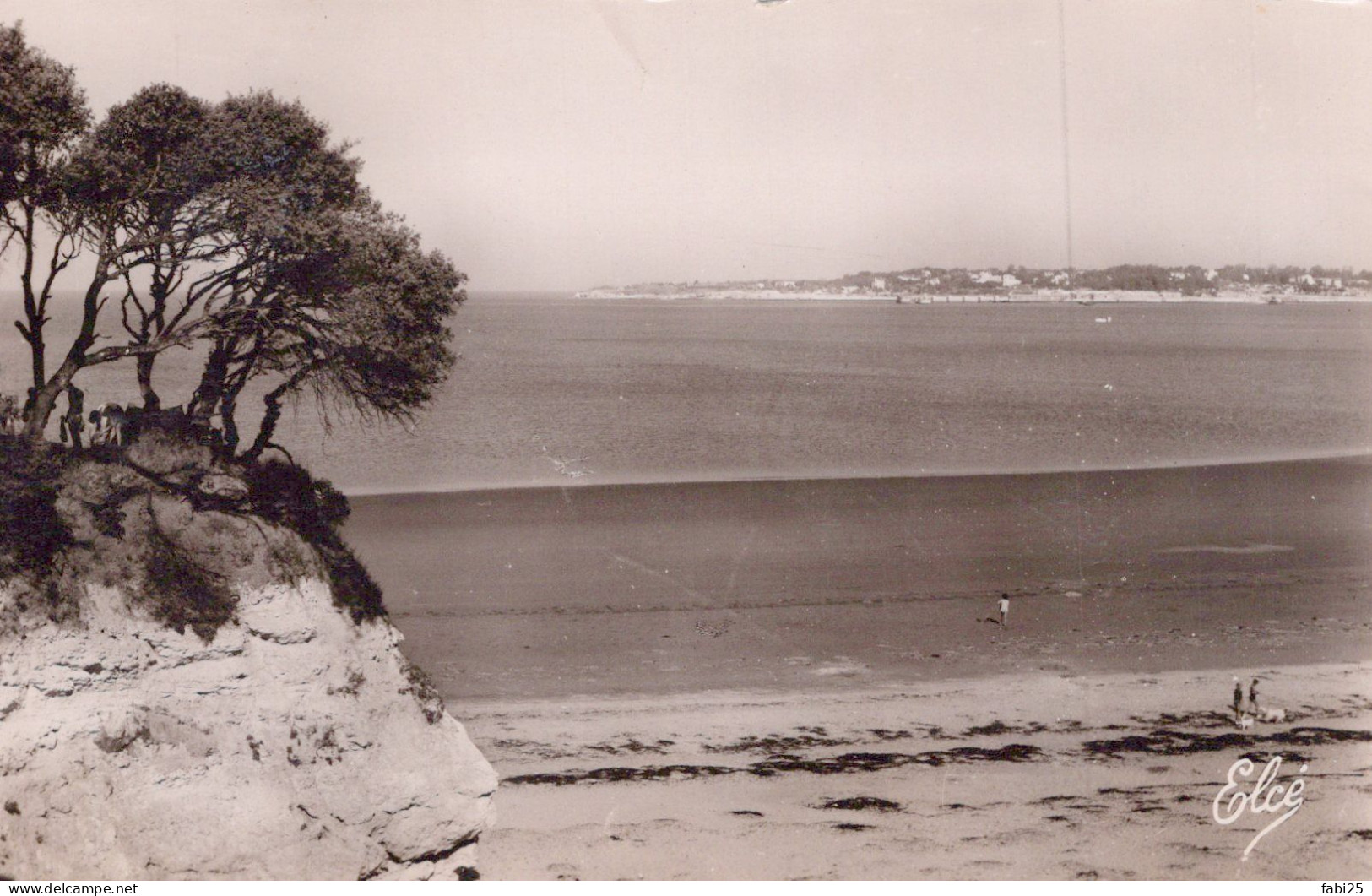 ROYAN DEPUIS VALLIERE VUE SUR LA COTE DE ROYAN - Royan