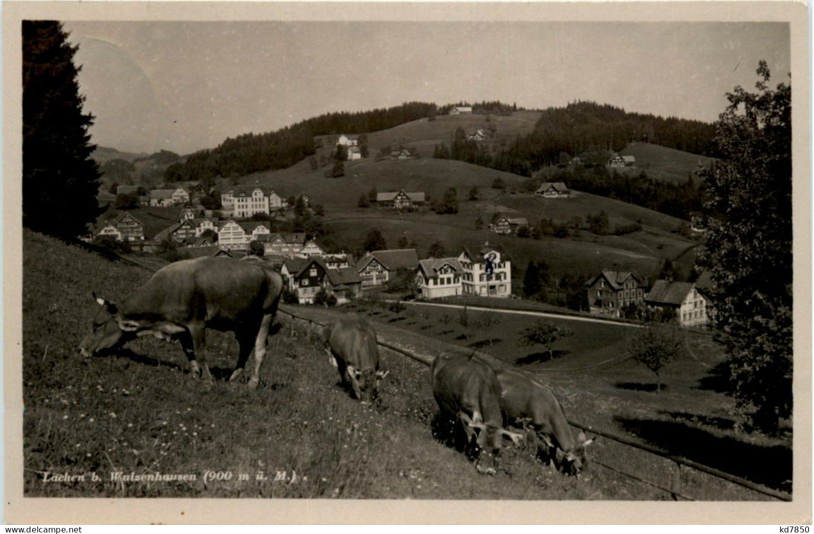 Lachen Walzenhausen - Walzenhausen