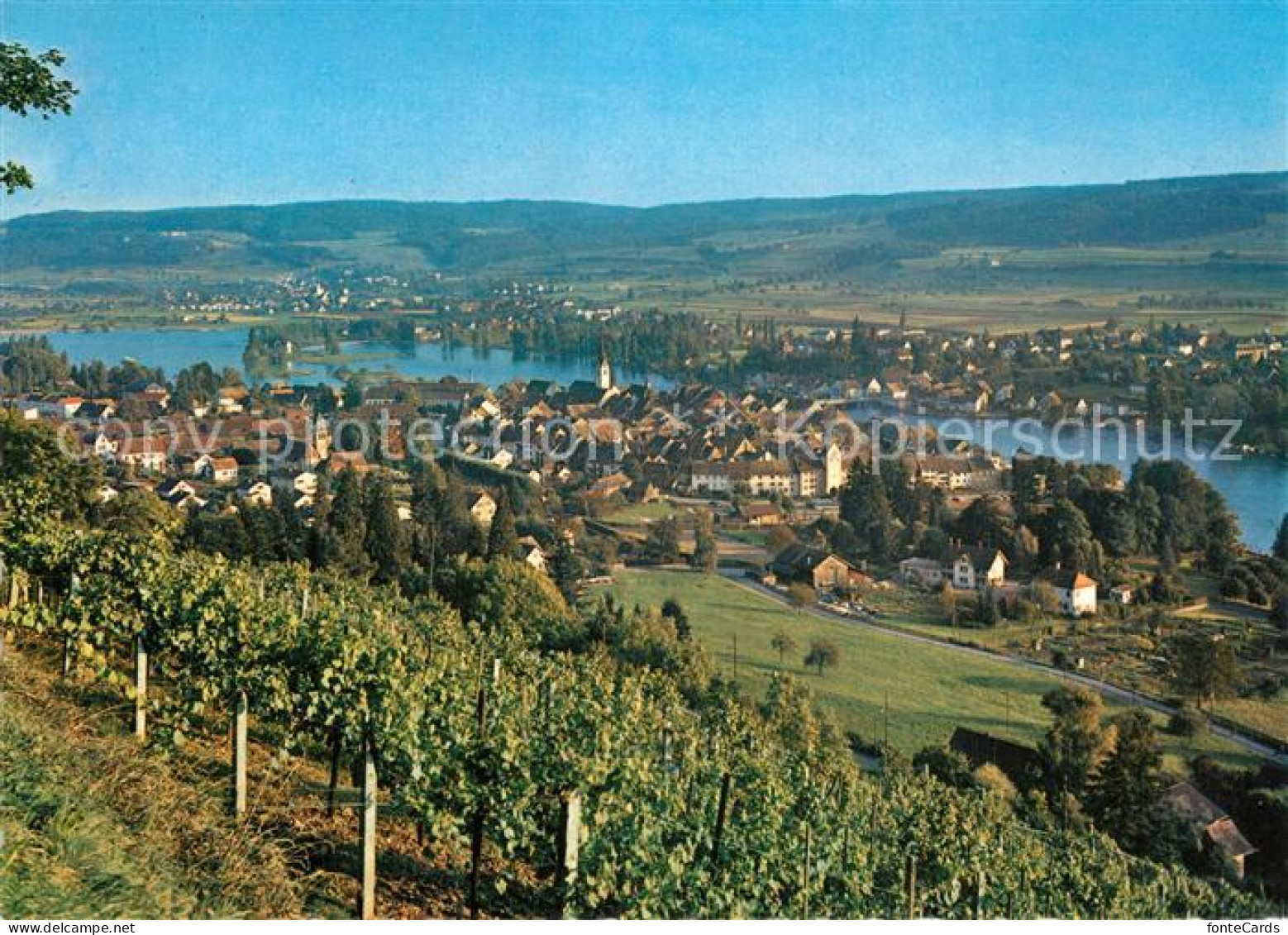 13596524 Stein Rhein Rheinpartie Stein Rhein - Autres & Non Classés