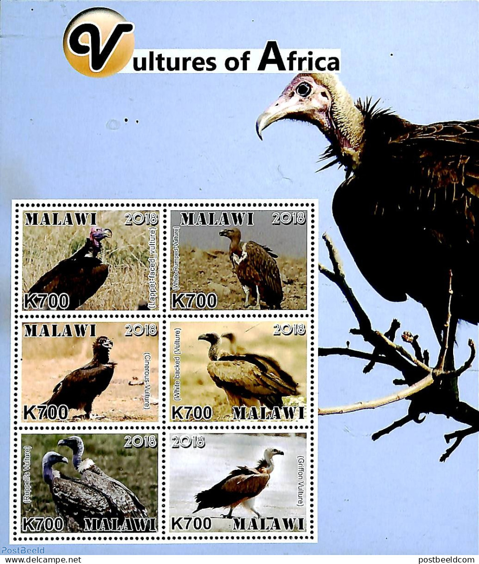 Malawi 2018 Vultures Of Africa 6v M/s, Mint NH, Nature - Birds - Malawi (1964-...)