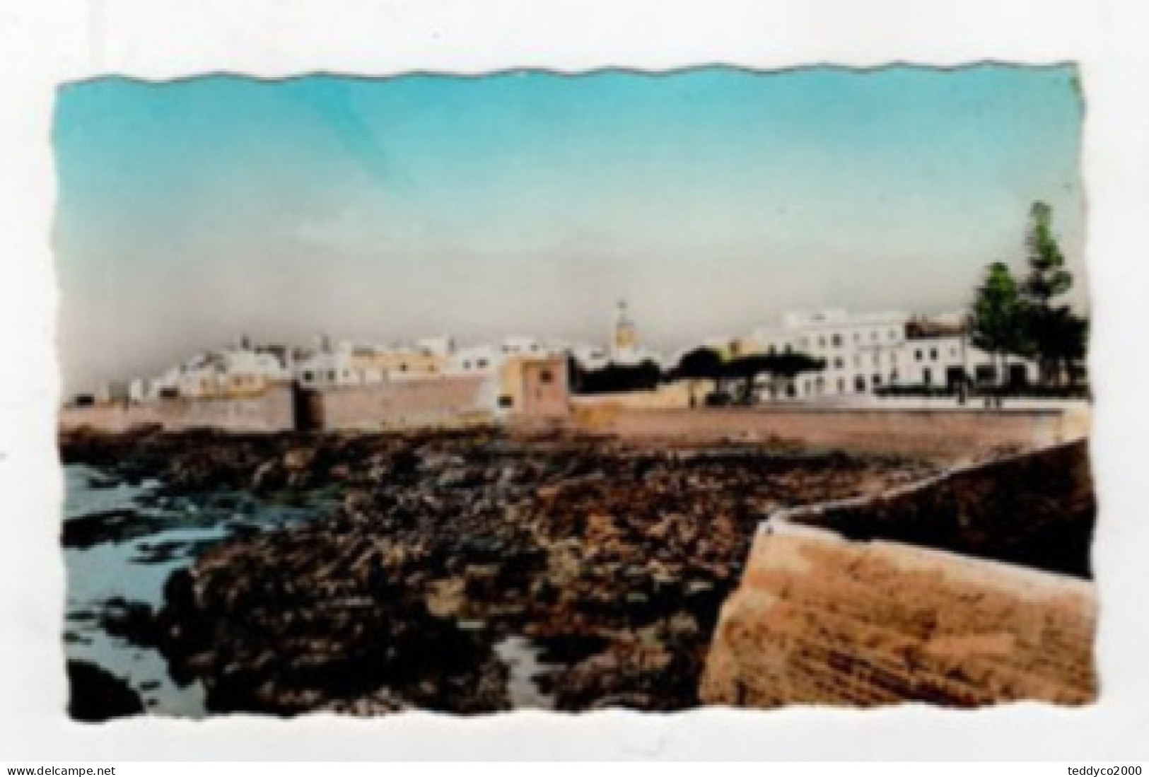 MOGADOR ESSAOUIRA - Other & Unclassified