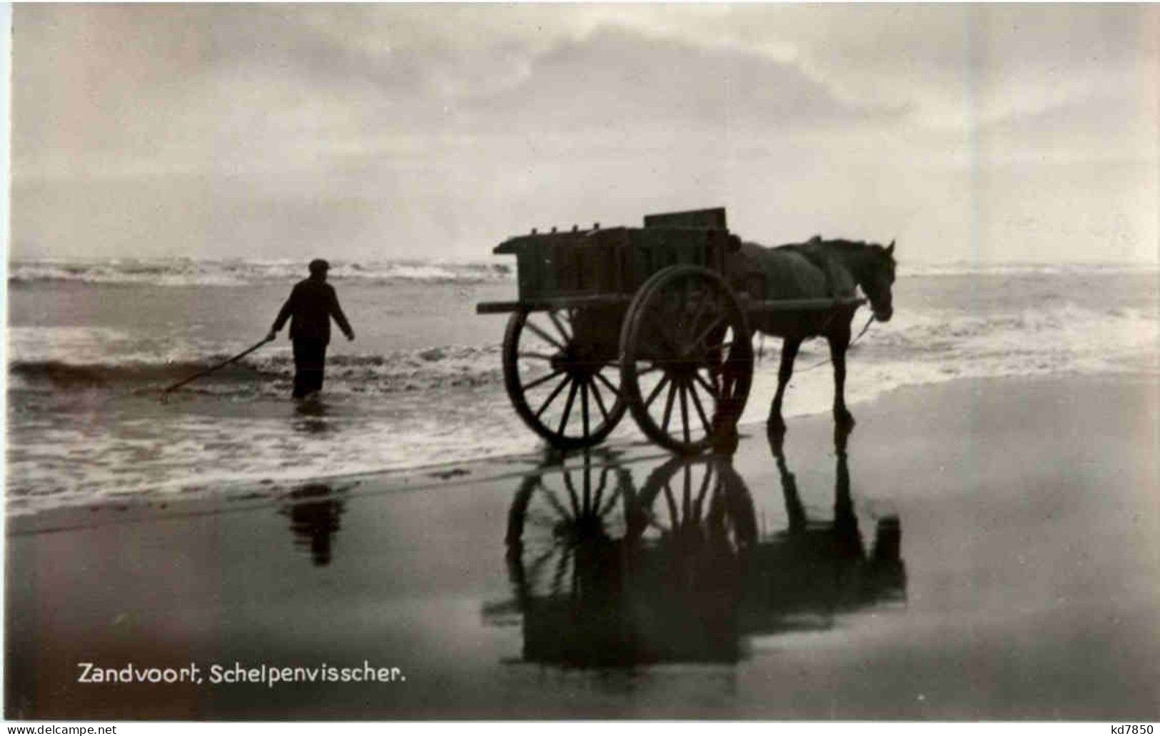 Zandvoort - Schelpenvisscher - Zandvoort