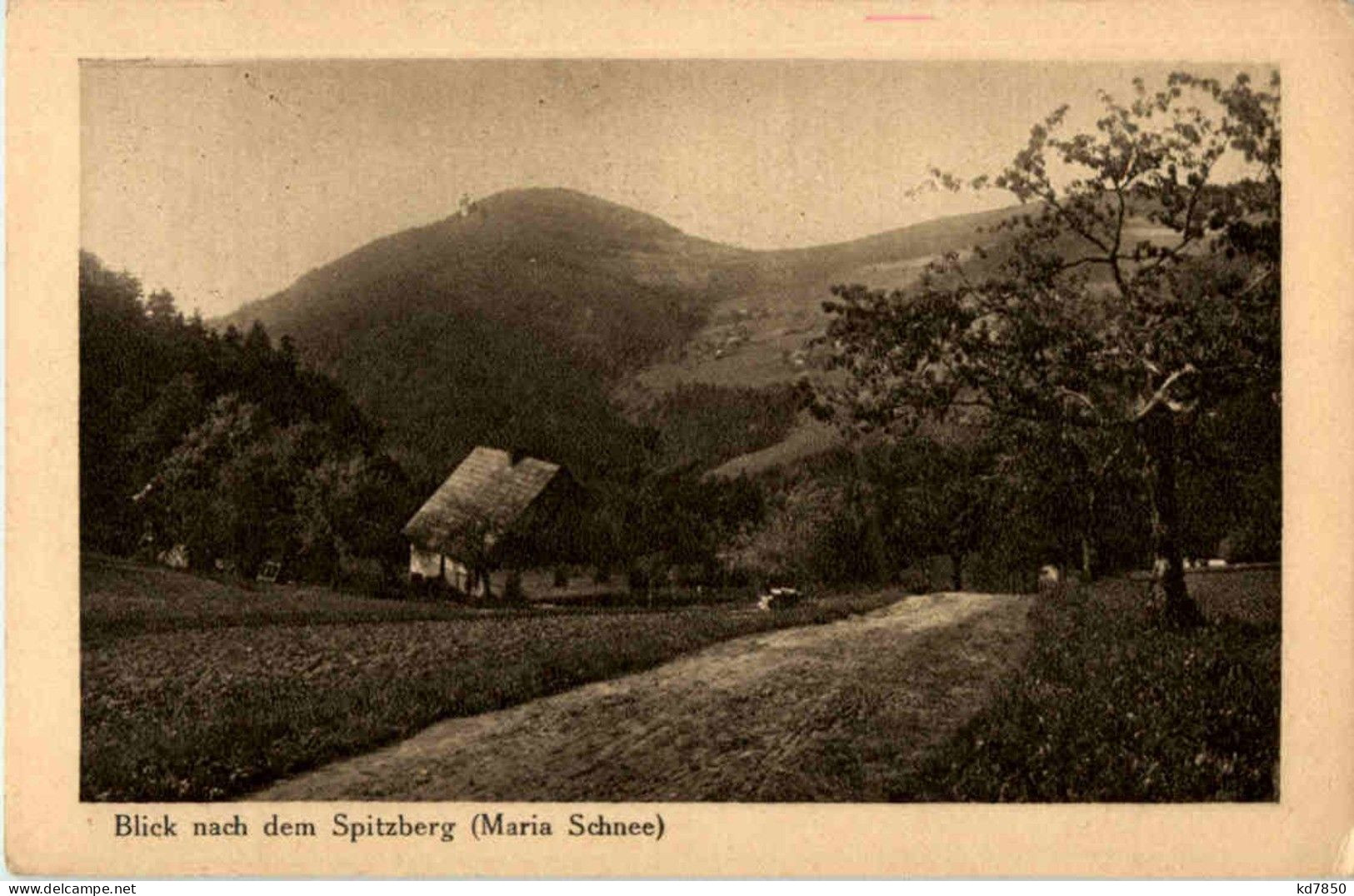 Wölfelsgrund - Blick Nach Dem Spitzberg - Poland