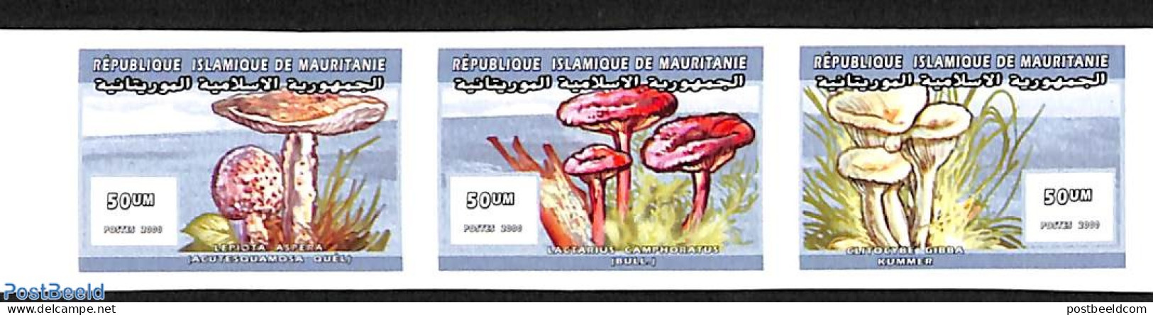 Mauritania 2000 Mushrooms 3v, Imperforated, Mint NH, Nature - Mushrooms - Pilze